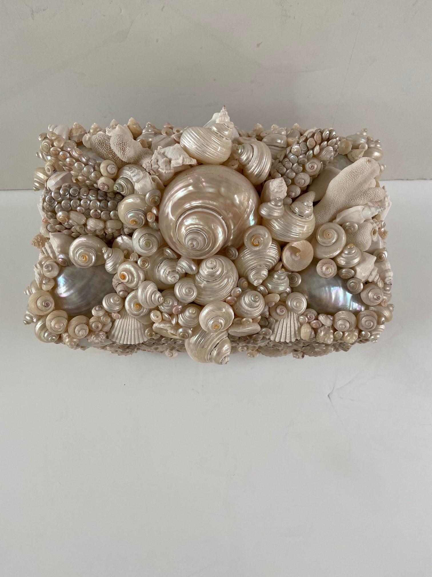 jewel box shells