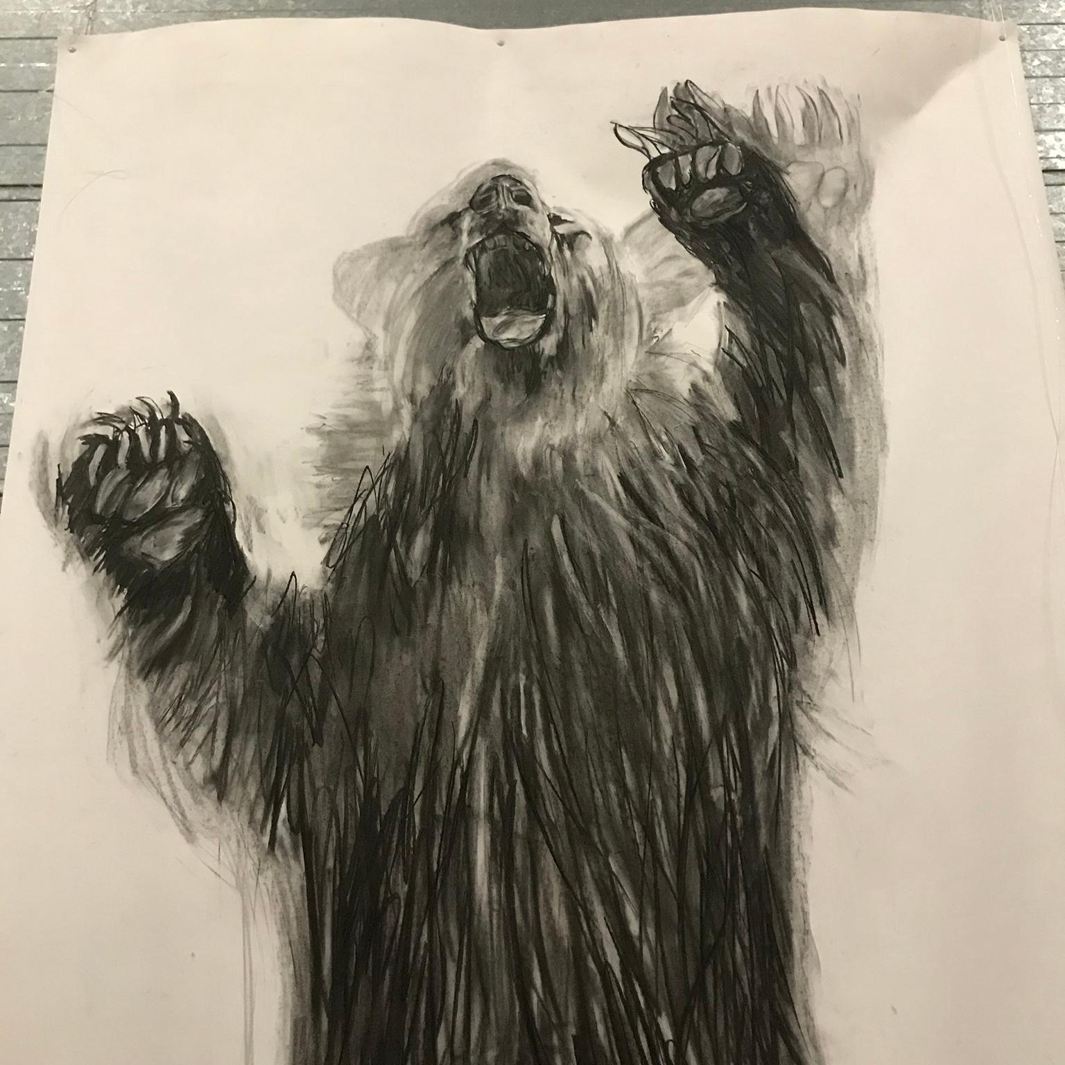 bear charcoal drawing