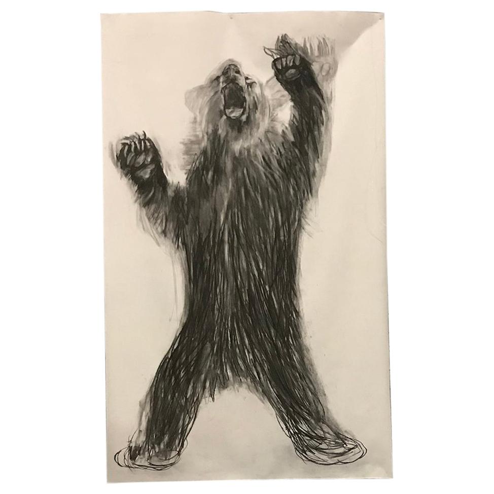 Beautiful, Huge, Charcoal Drawing of Bear by Dutch Female Artist