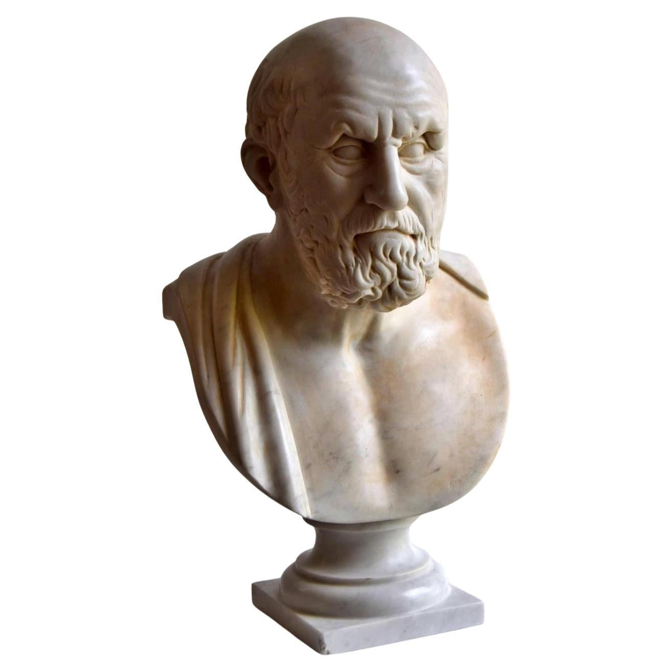 Beautiful Italian " Ippocrate " Bust Early 20th Century Carrara Marble