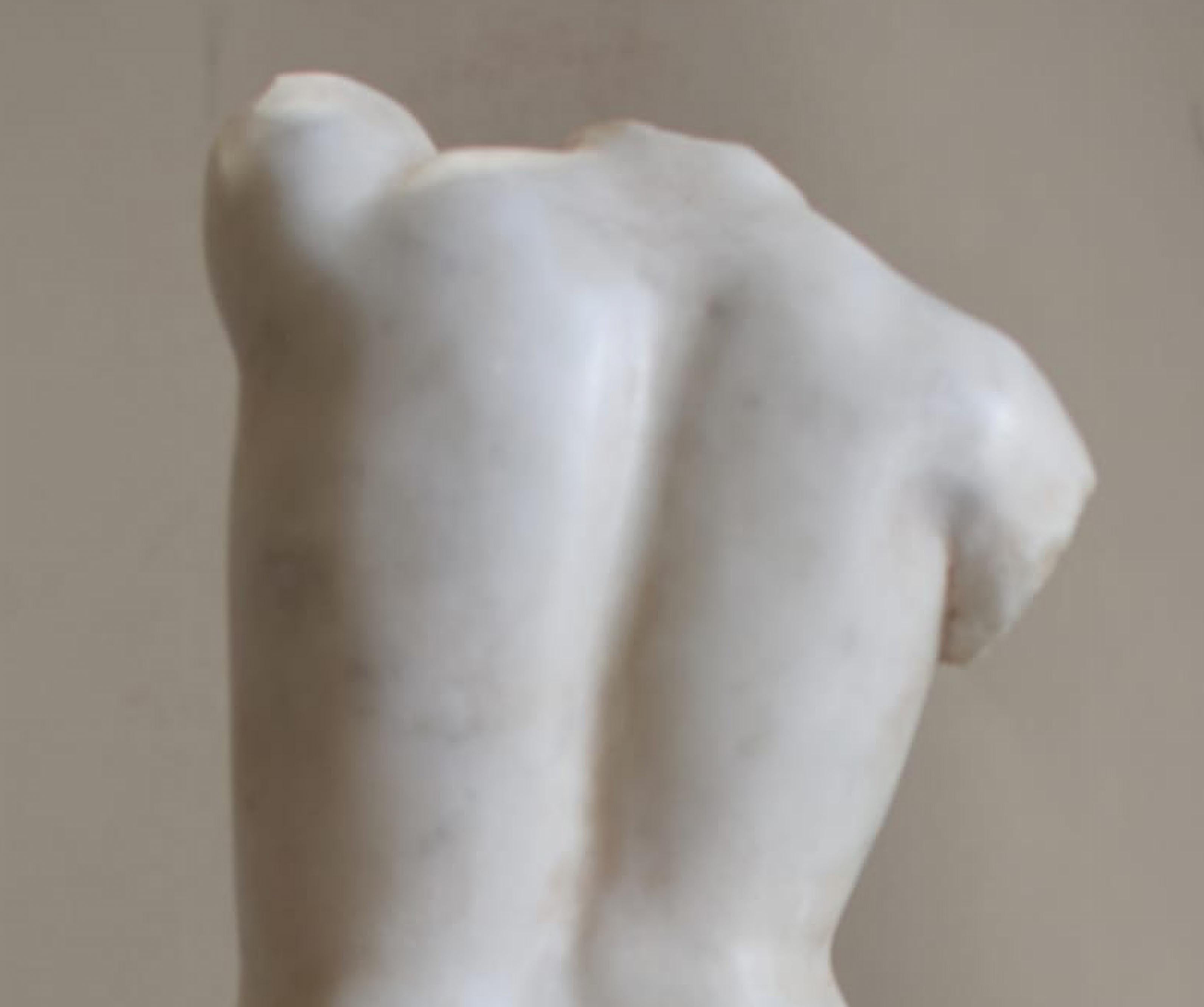 Barocco Bellissimo 
