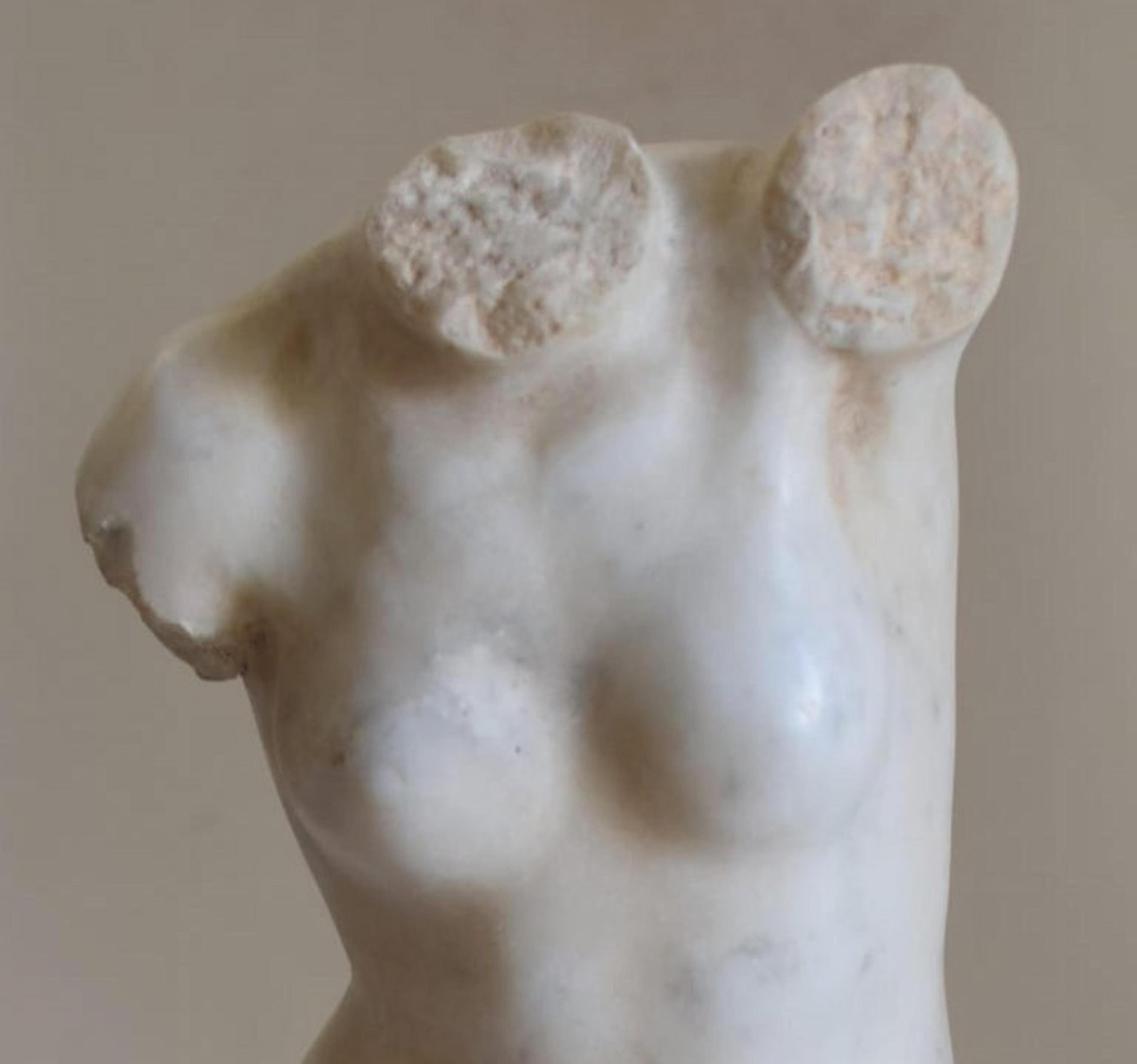 Barocco Bellissimo 