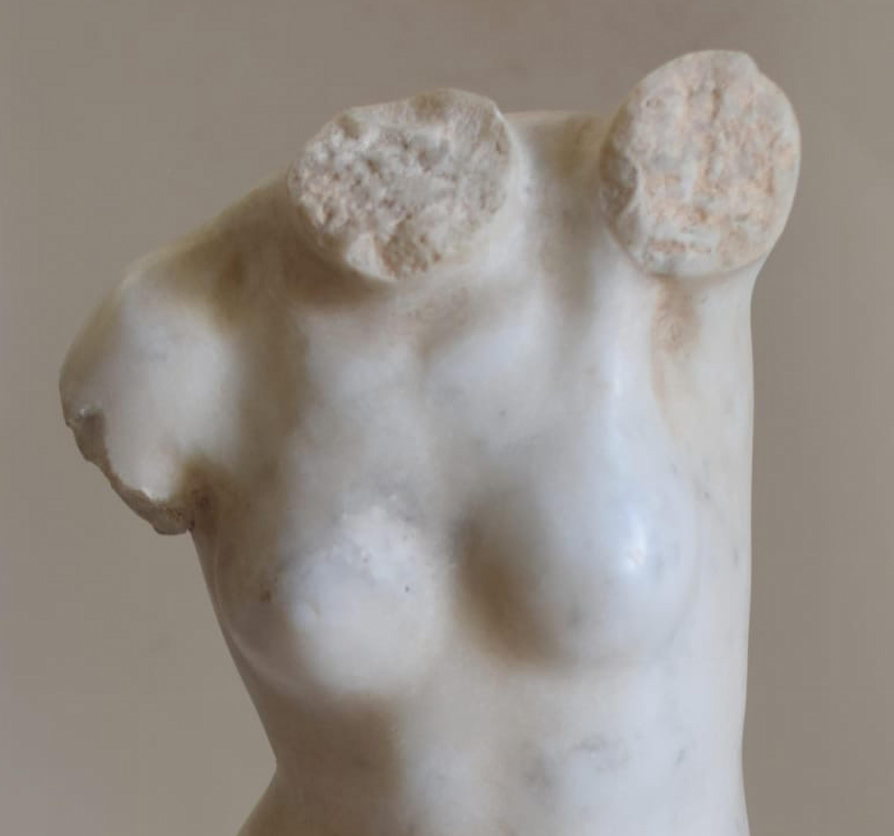 Bellissimo 