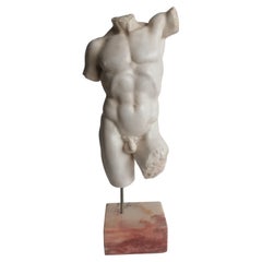 Hermoso " Torso " italiano  Mármol de Carrara del siglo XX