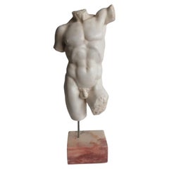 Beautiful Italian " Torso "  20th Century Carrara Marble