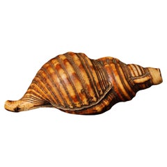 Beautiful Japanese Horagai Conch Shell Trumpet Edo Period (18th–19th Century)