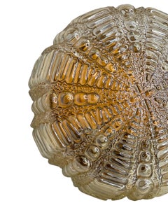 Hermoso empotrable grande de 2 luces con diseño de burbujas de RZB Leuchten, años 60