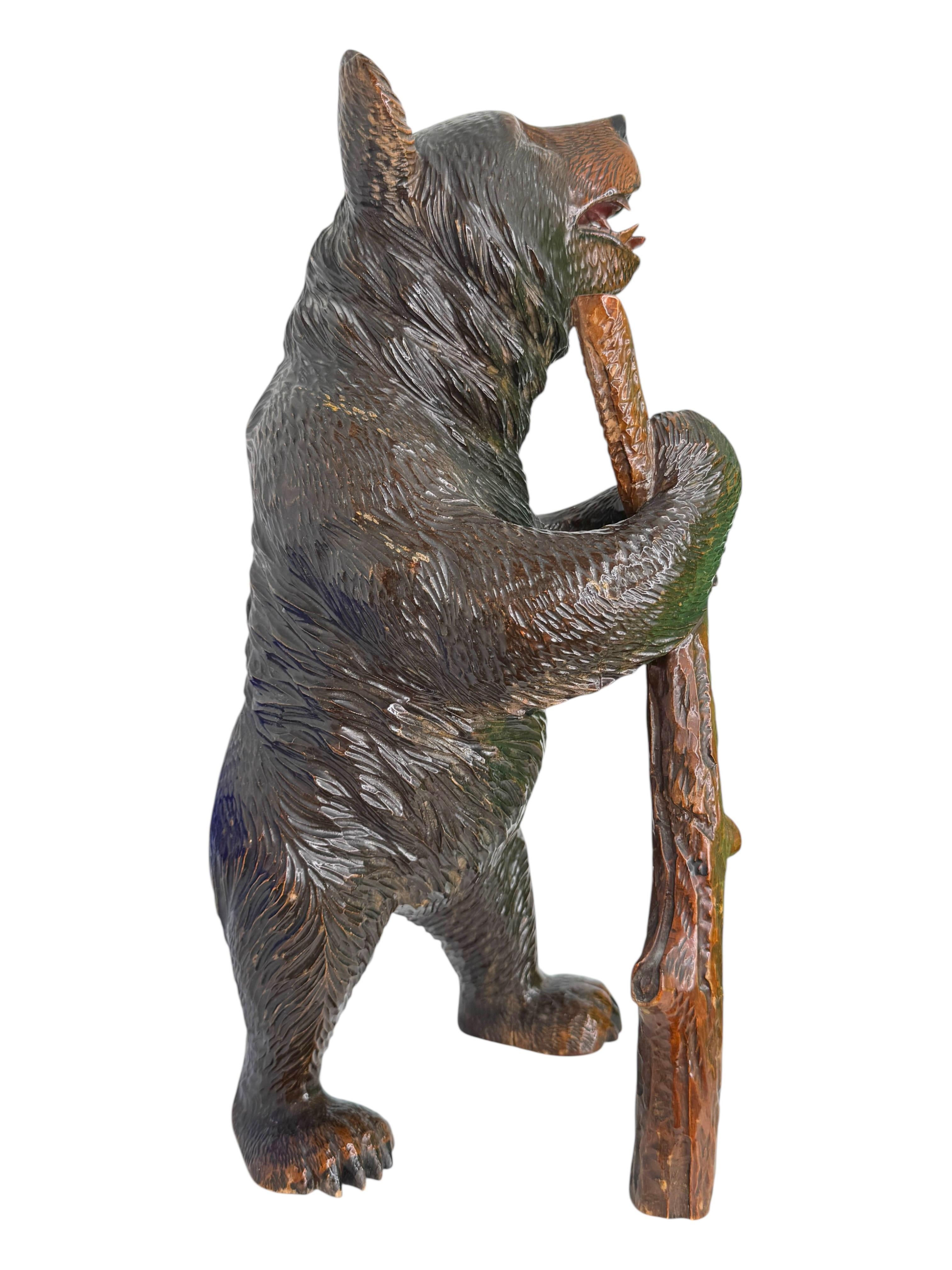 Foresta Nera Bellissima statua di orso escursionista di grandi dimensioni, antica Svizzera in vendita