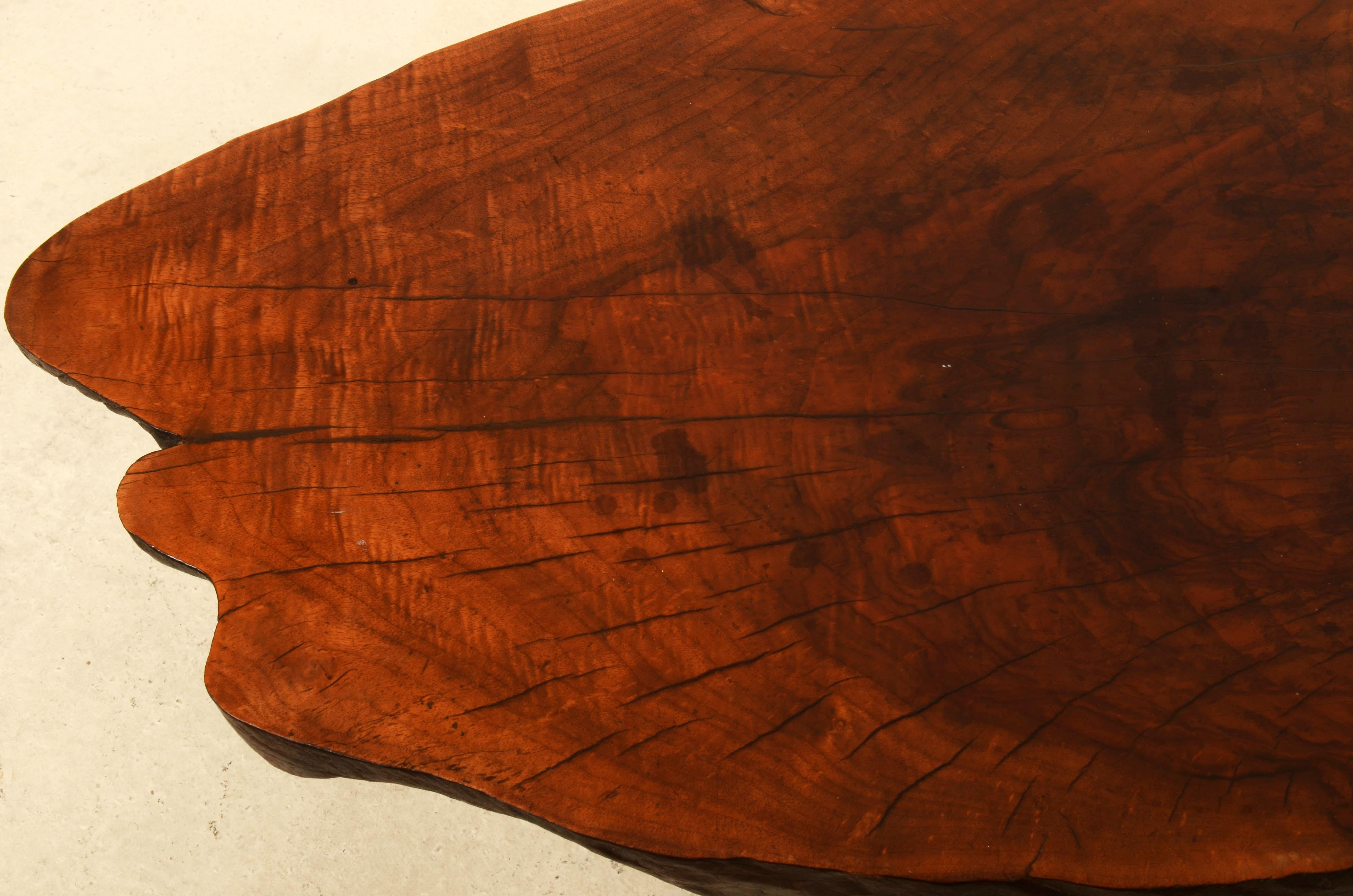 Magnifique grande table à arbre Carl Auböck en vente 3