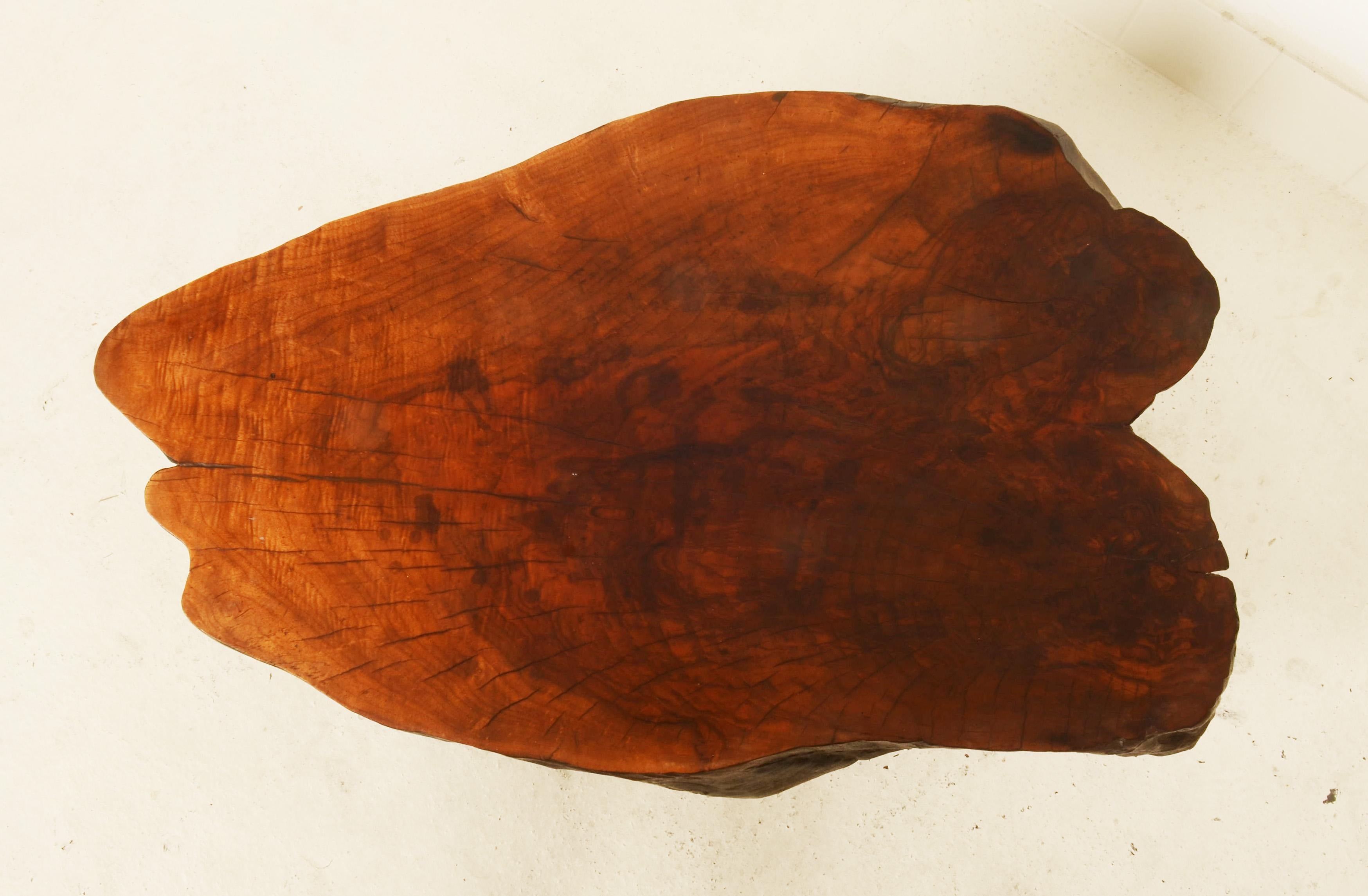Magnifique grande table à arbre Carl Auböck en vente 1
