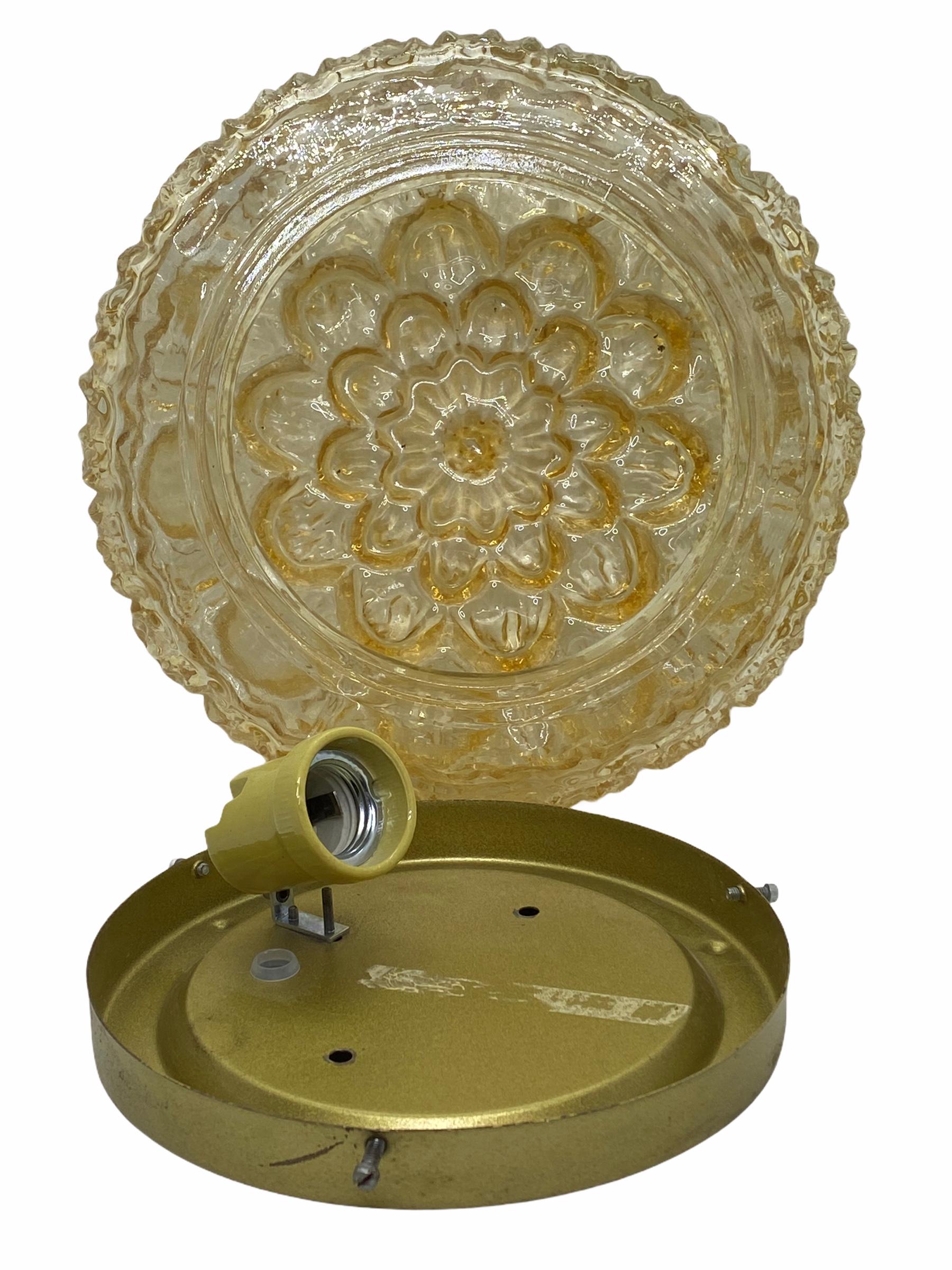 Mid-20th Century Beautiful Large Flower Pattern Flush Mount Ceiling Light by RZB Leuchten, 1960s For Sale
