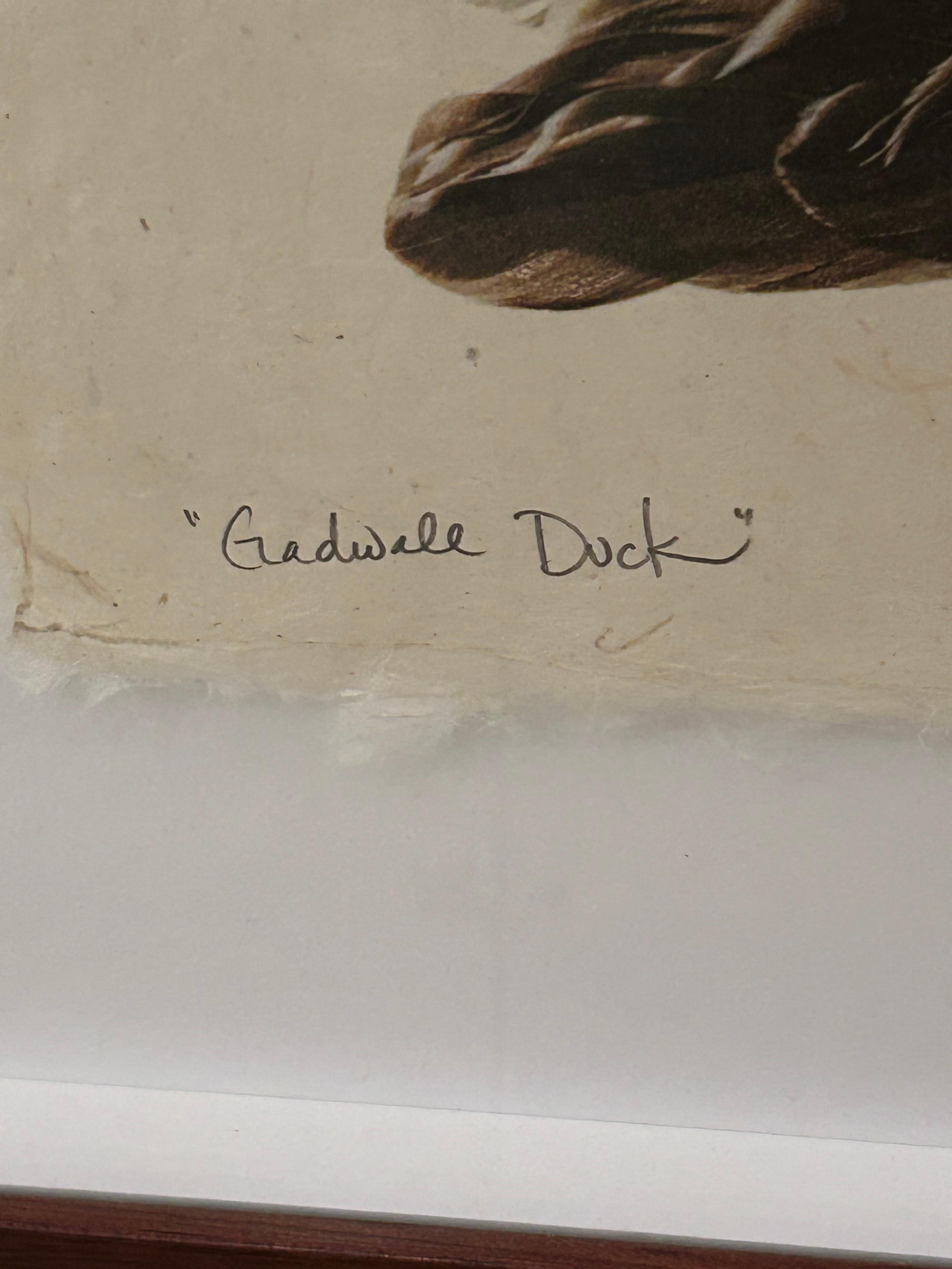 Beautiful Large Format Photographs on Parchment of Owl & Duck’s Wings For Sale 4