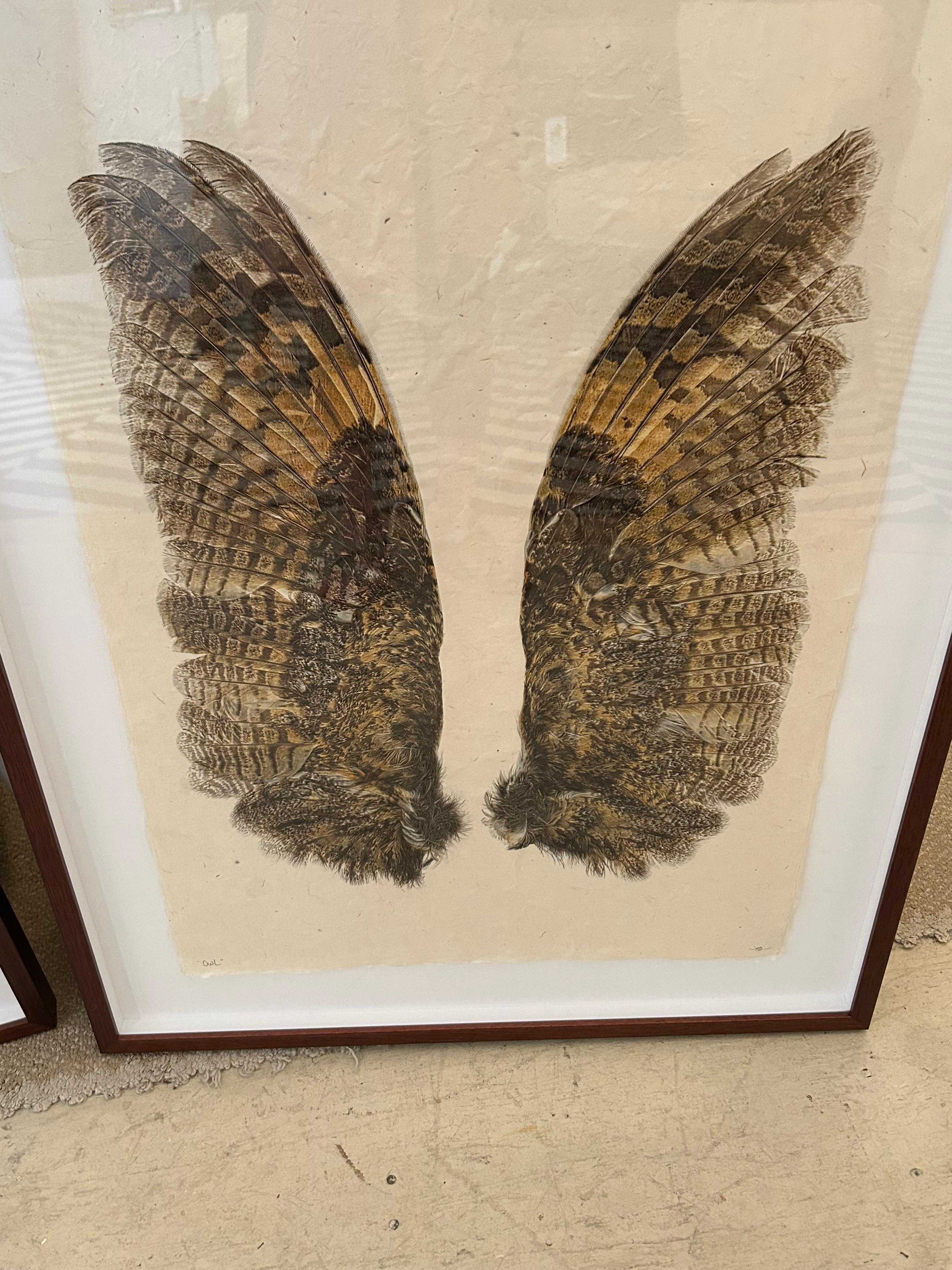 Impressive large format photographs by Barloga Studio of detailed owl and duck wings.  Organic and earthy as well as modern.

Will sell separately but are beautiful as a pair!