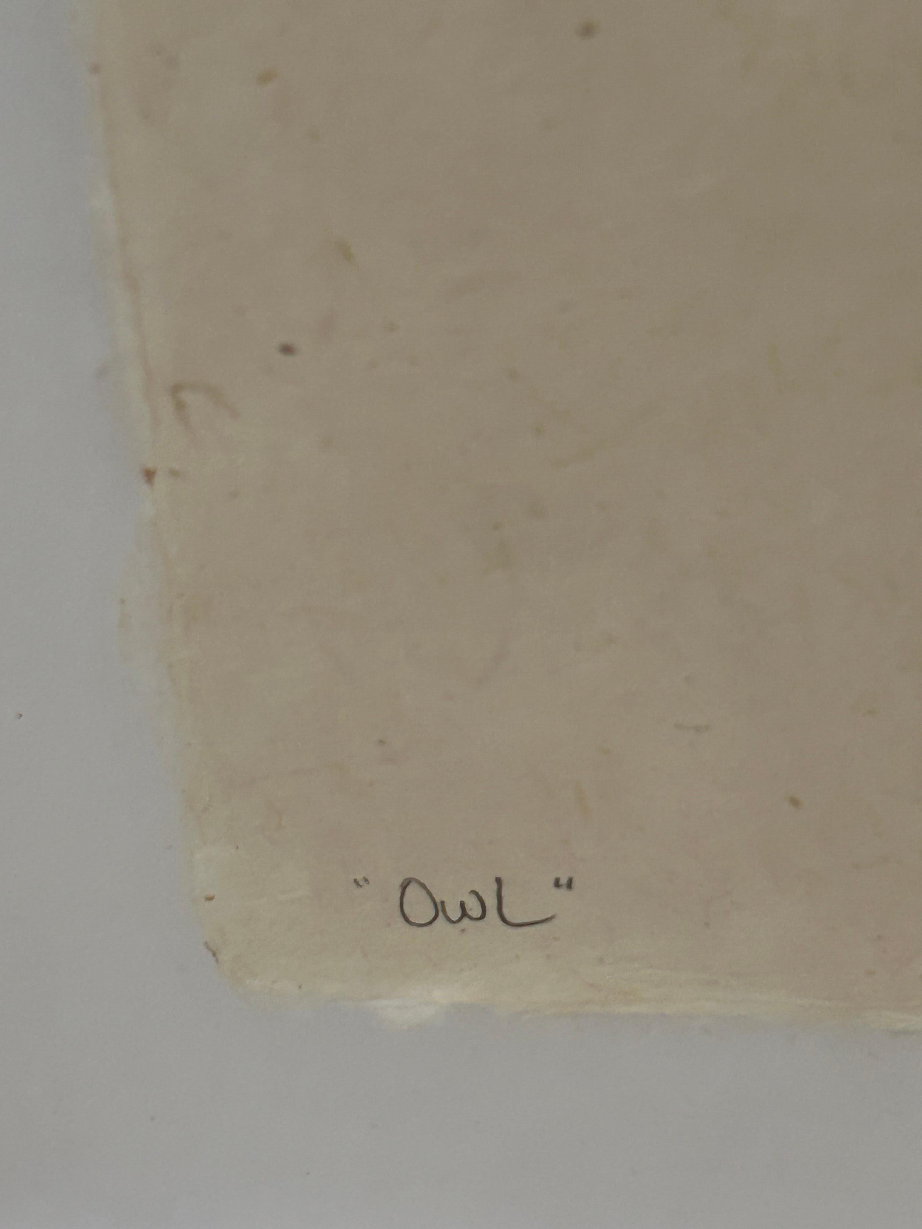 Contemporary Beautiful Large Format Photographs on Parchment of Owl & Duck’s Wings For Sale