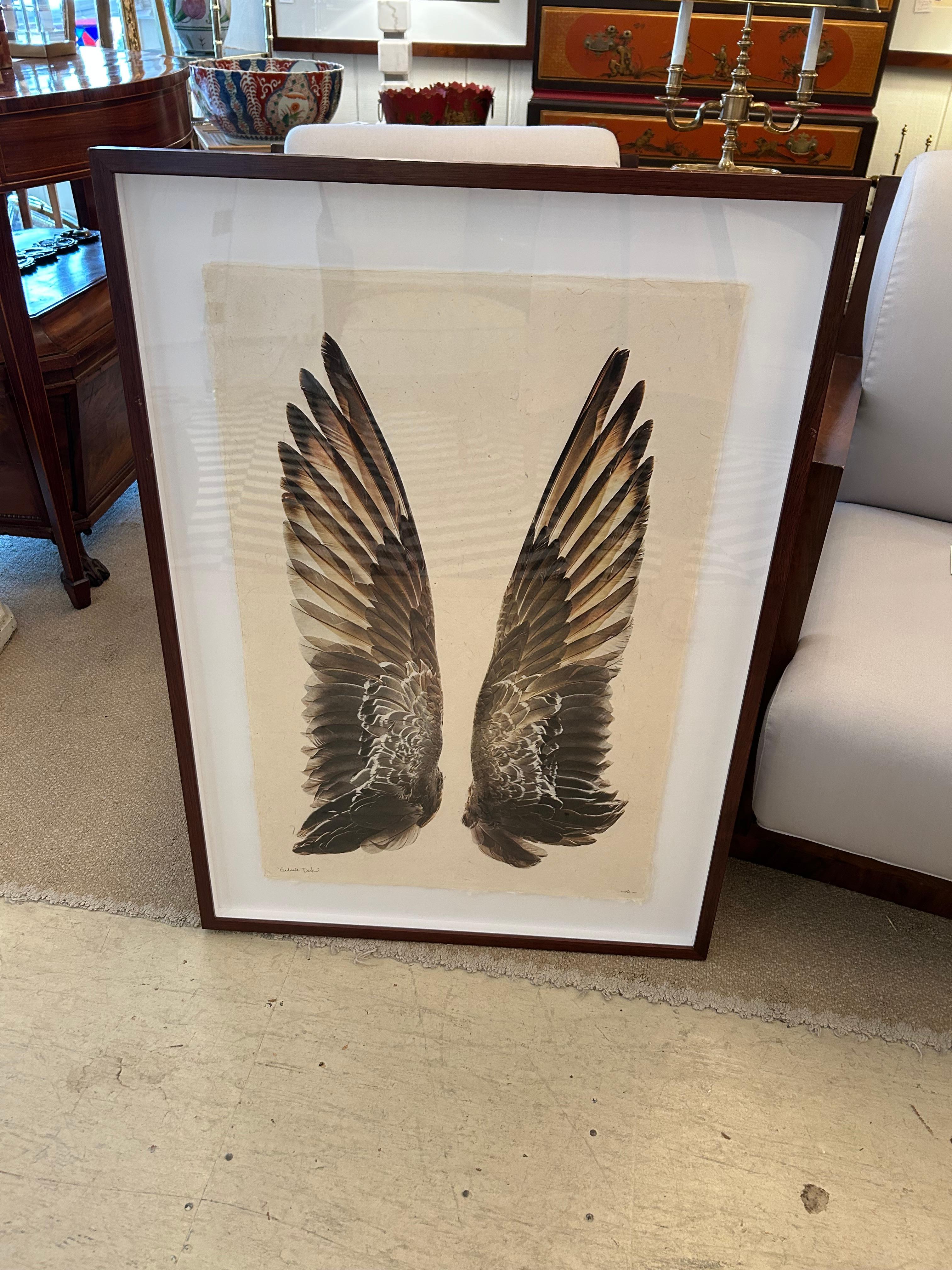 Beautiful Large Format Photographs on Parchment of Owl & Duck’s Wings For Sale 2