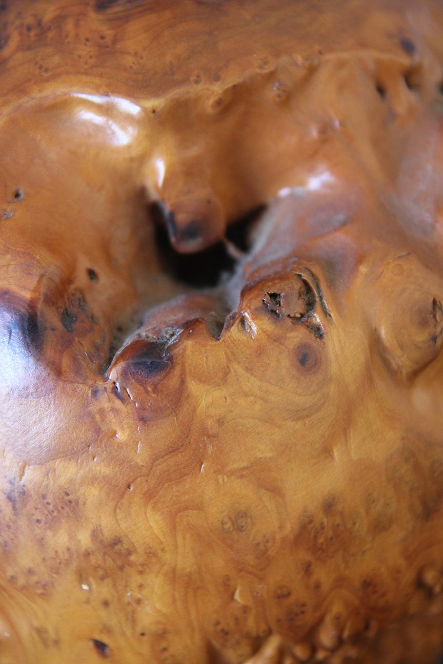 Preciosa Lámpara Grande de Madera de Arce Burl en venta 3