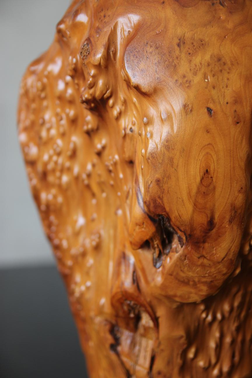 Preciosa Lámpara Grande de Madera de Arce Burl en venta 2