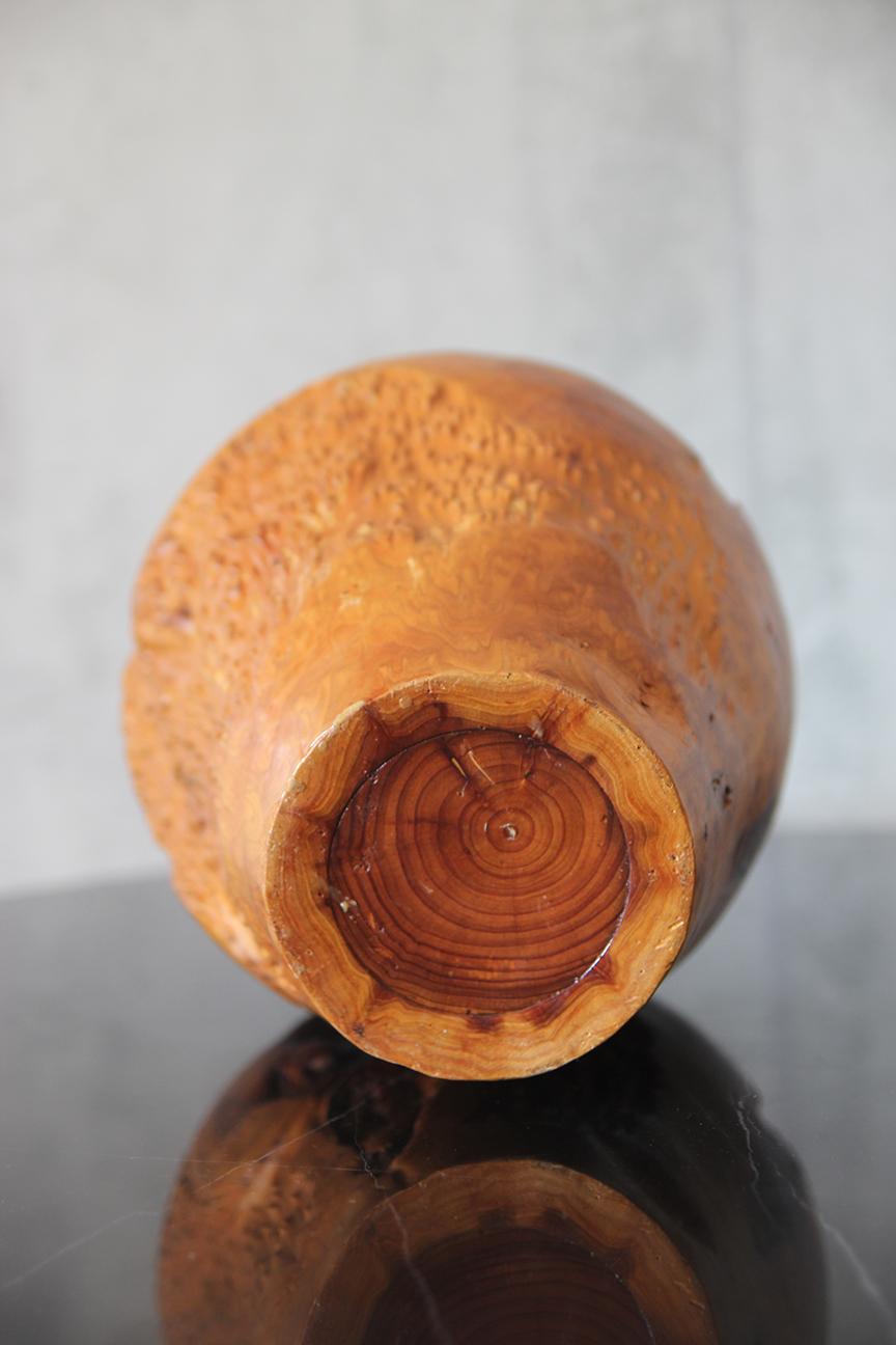 Bellissimo vaso grande in legno d'acero di radica in vendita 2