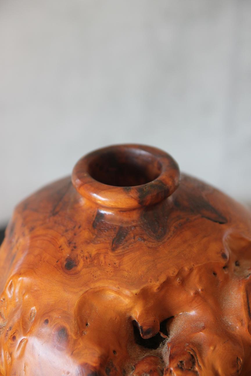 Legno Bellissimo vaso grande in legno d'acero di radica in vendita