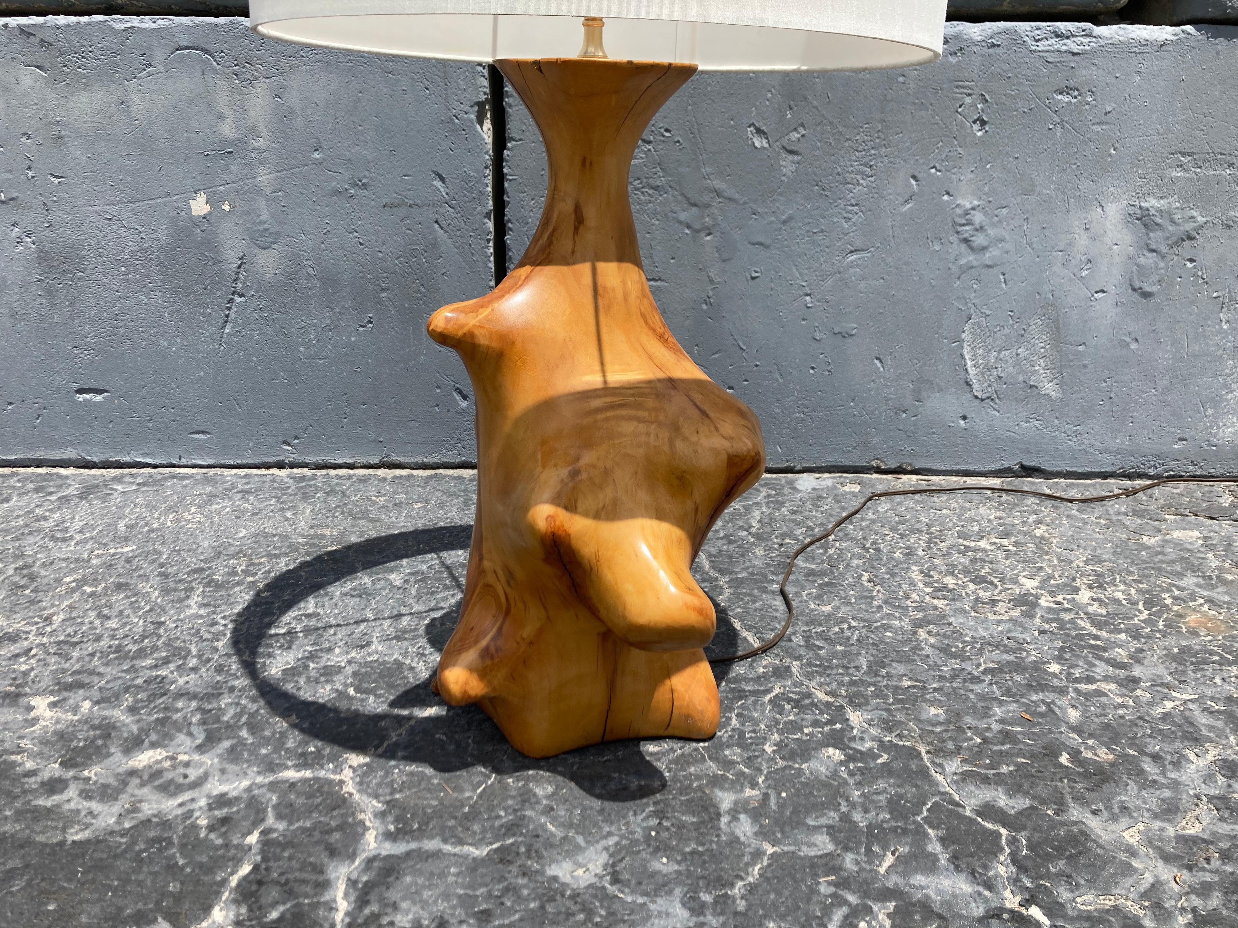 Beautiful Large Organic Table Lamp, Mid-Century Modern For Sale 5