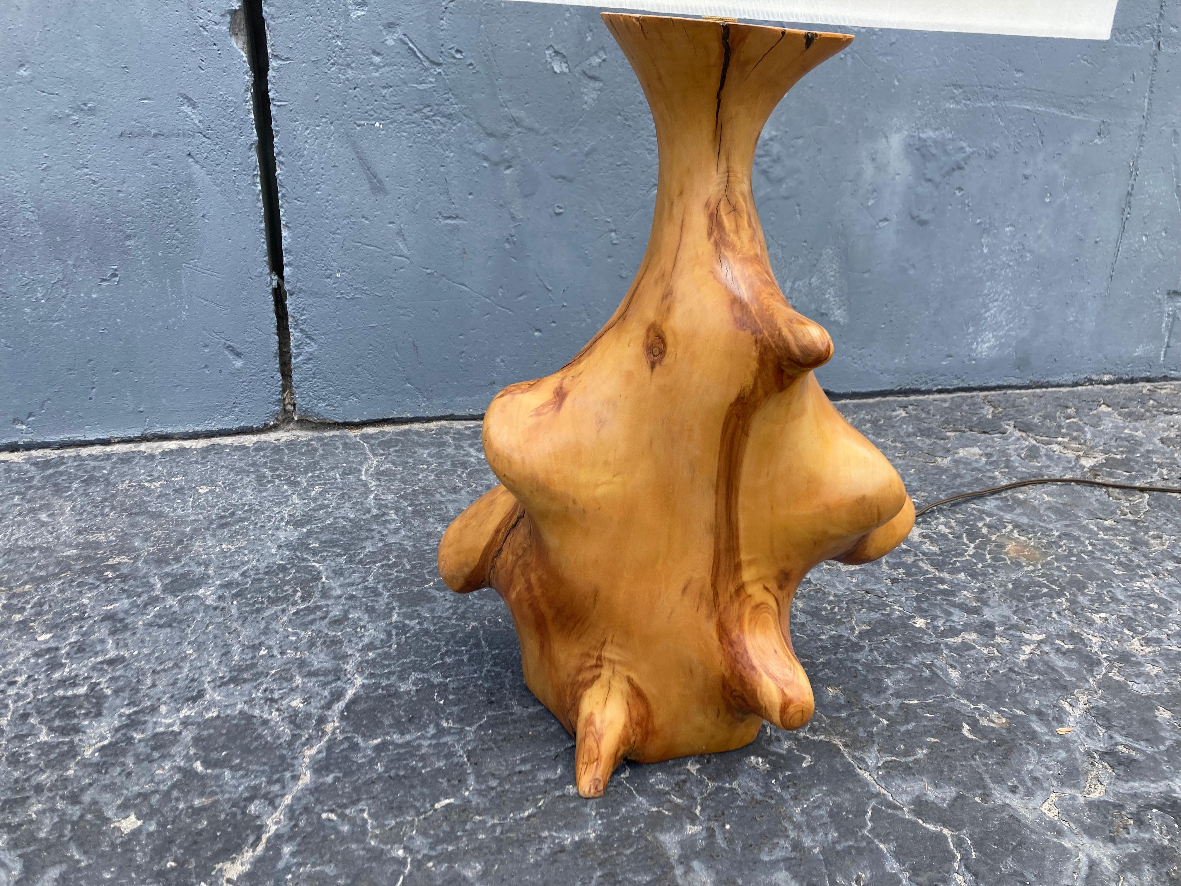 Preciosa Lámpara de Mesa Orgánica Grande, Moderna de Mediados de Siglo Estadounidense en venta