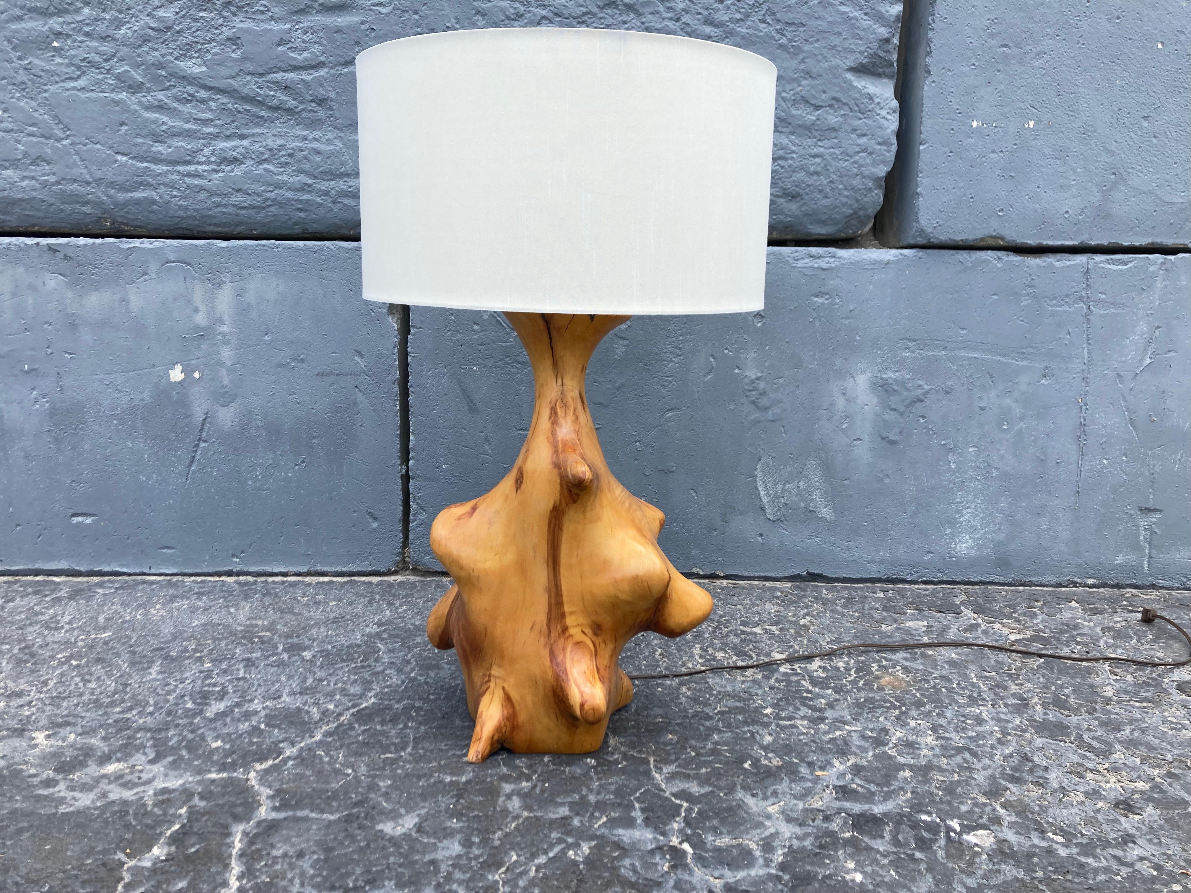 organic modern table lamp