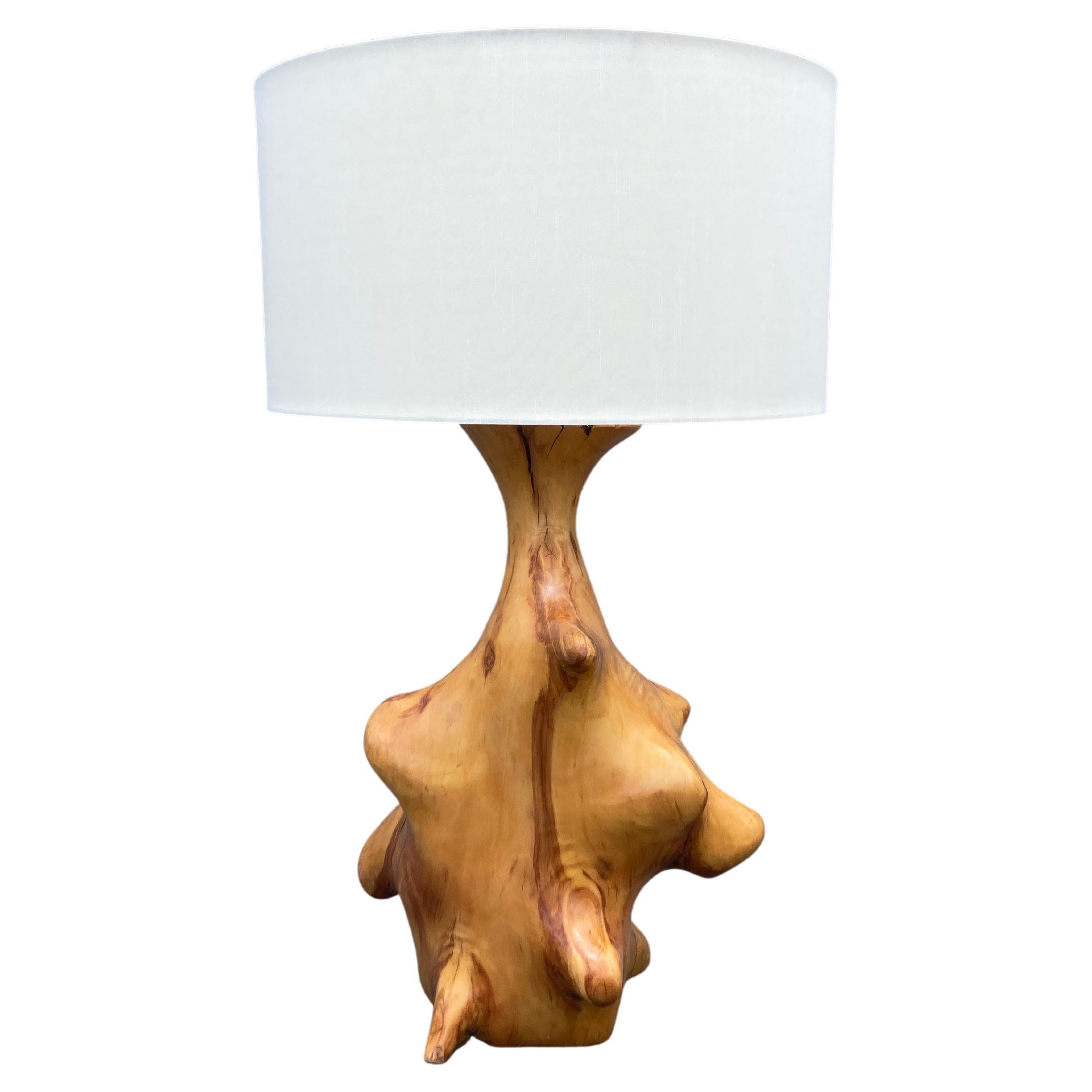 Beautiful Large Organic Table Lamp, Mid-Century Modern For Sale