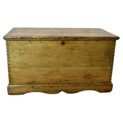 Antique Beautiful Large Victorian Pine Blanket Box