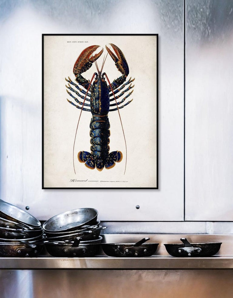 Beautiful Lobster Photo Print with Oak Frame For Sale at 1stDibs