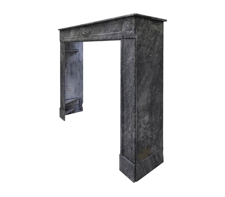 Mid-19th Century Beautiful Marble Louis XVI fireplace 19th century For Sale