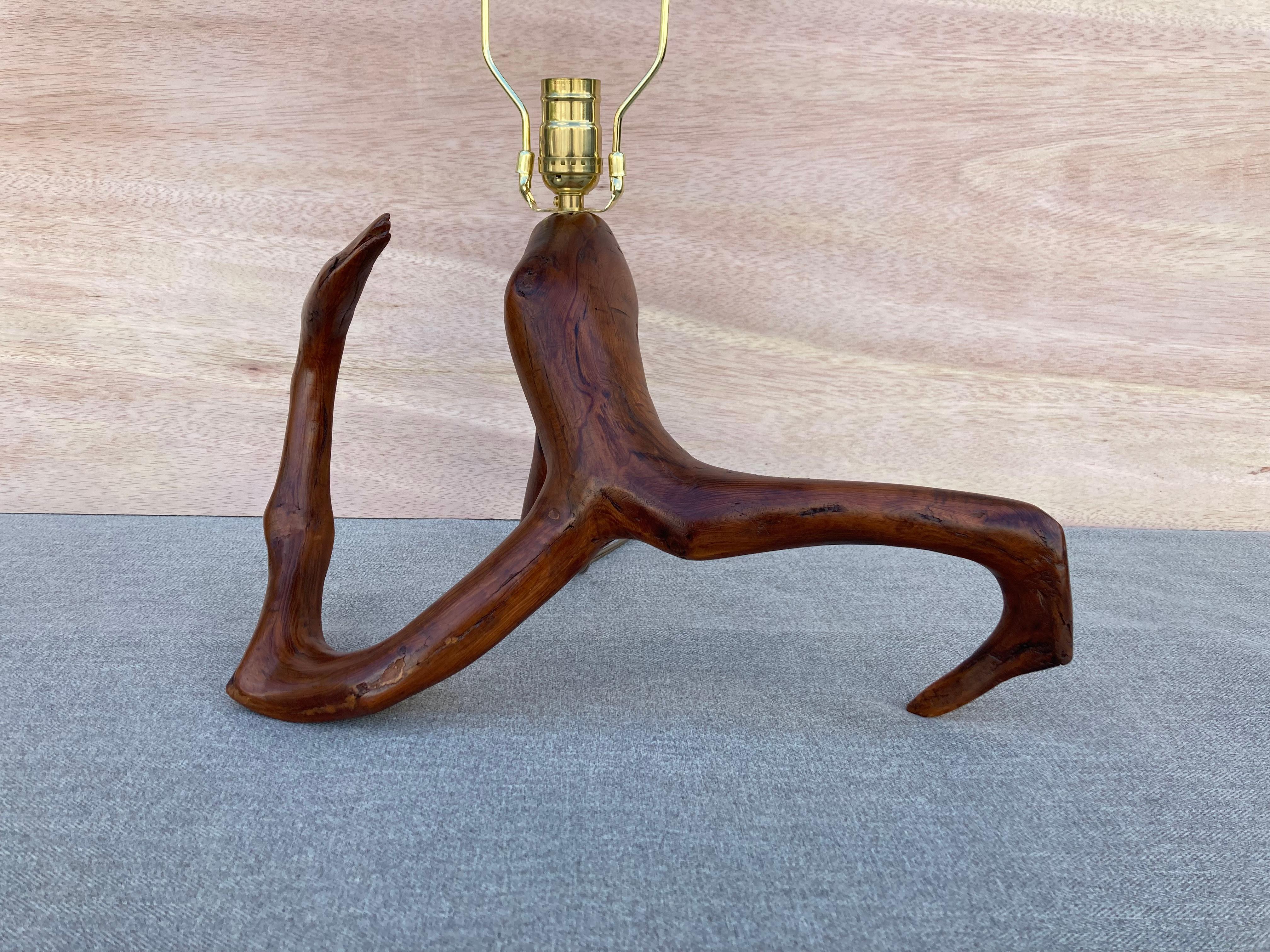 Beautiful Mid Century Table Lamp, Tree, Redwood For Sale 3