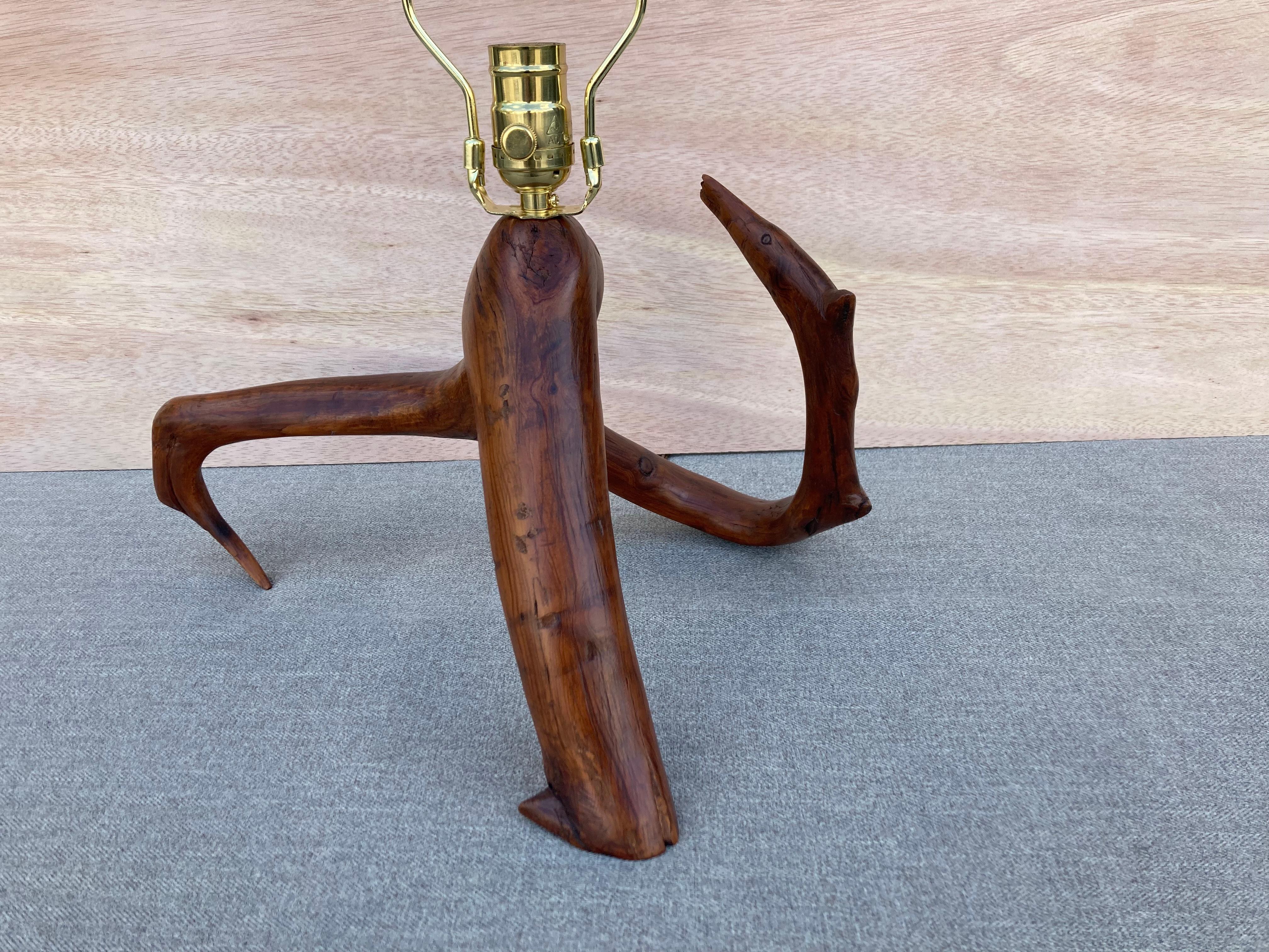 Beautiful Mid Century Table Lamp, Tree, Redwood For Sale 8