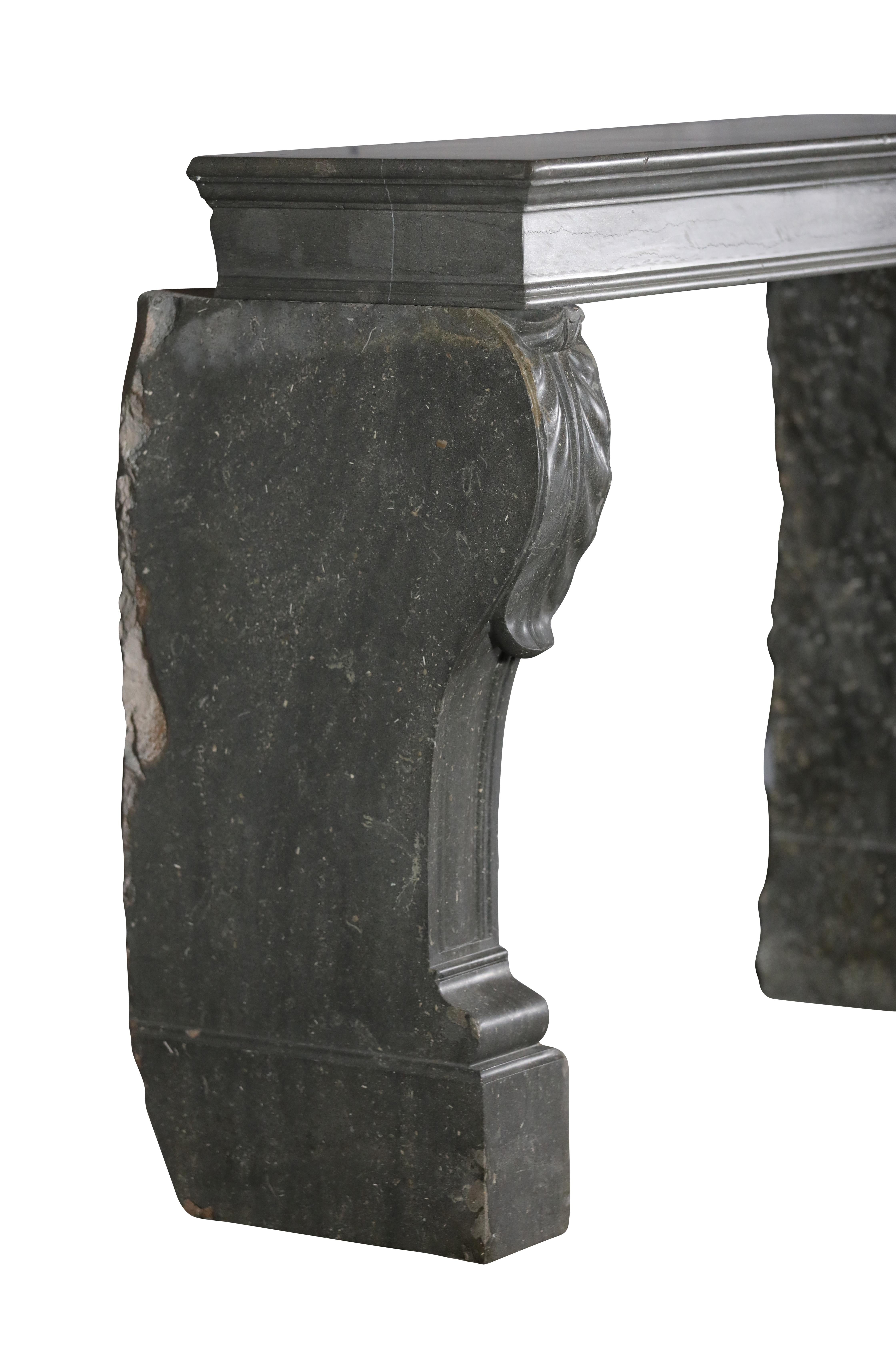 Schöner Napoleon III. Antiker französischer Kamin aus Stone Surround im Angebot 7