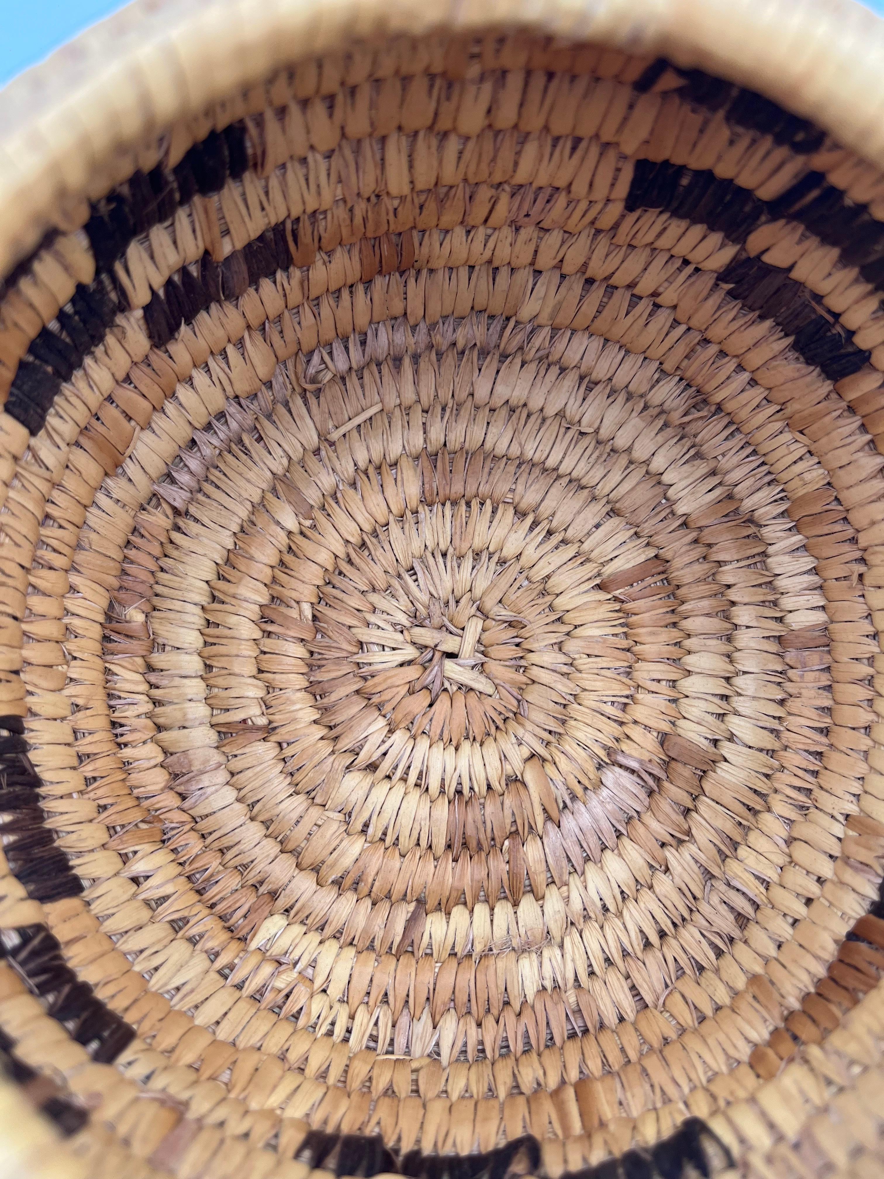 Beautiful Native American Geometric Papago Hand Woven Lidded Basket in vendita 4