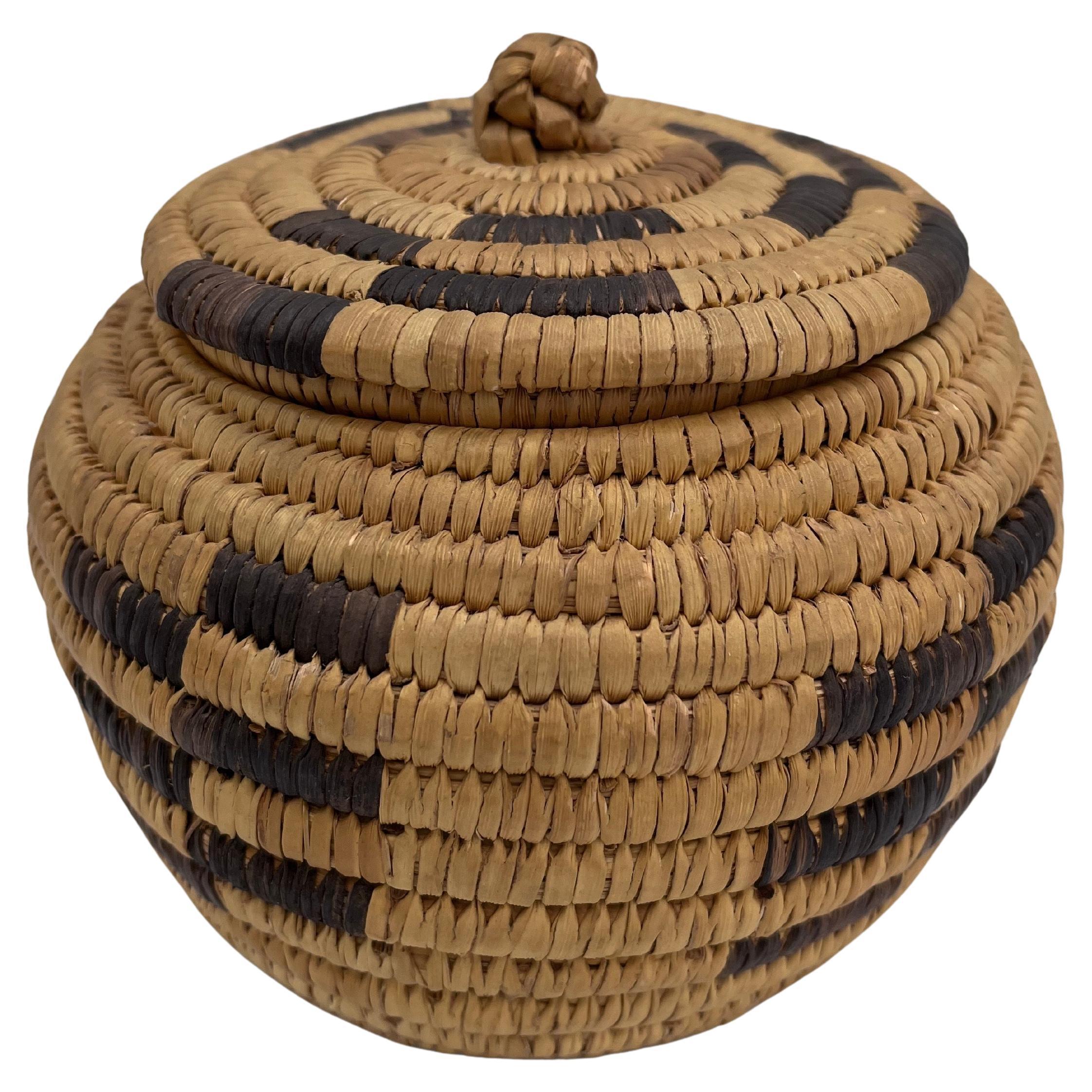 Beautiful Native American Geometric Papago Hand-Woven Lidded Basket

This beautiful hand-woven Papago basket (now more commonly associated with the Tohono O’odham Nation) features a striking geometric pattern in natural tan fibers contrasted with a