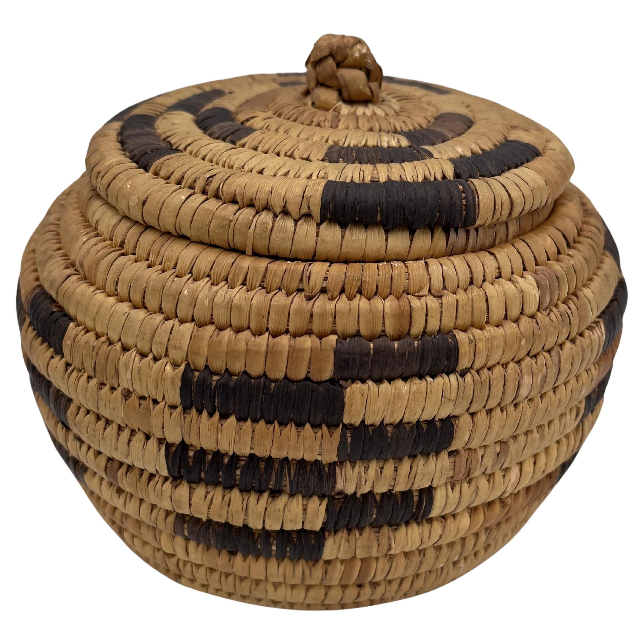 Nativo americano Beautiful Native American Geometric Papago Hand Woven Lidded Basket in vendita