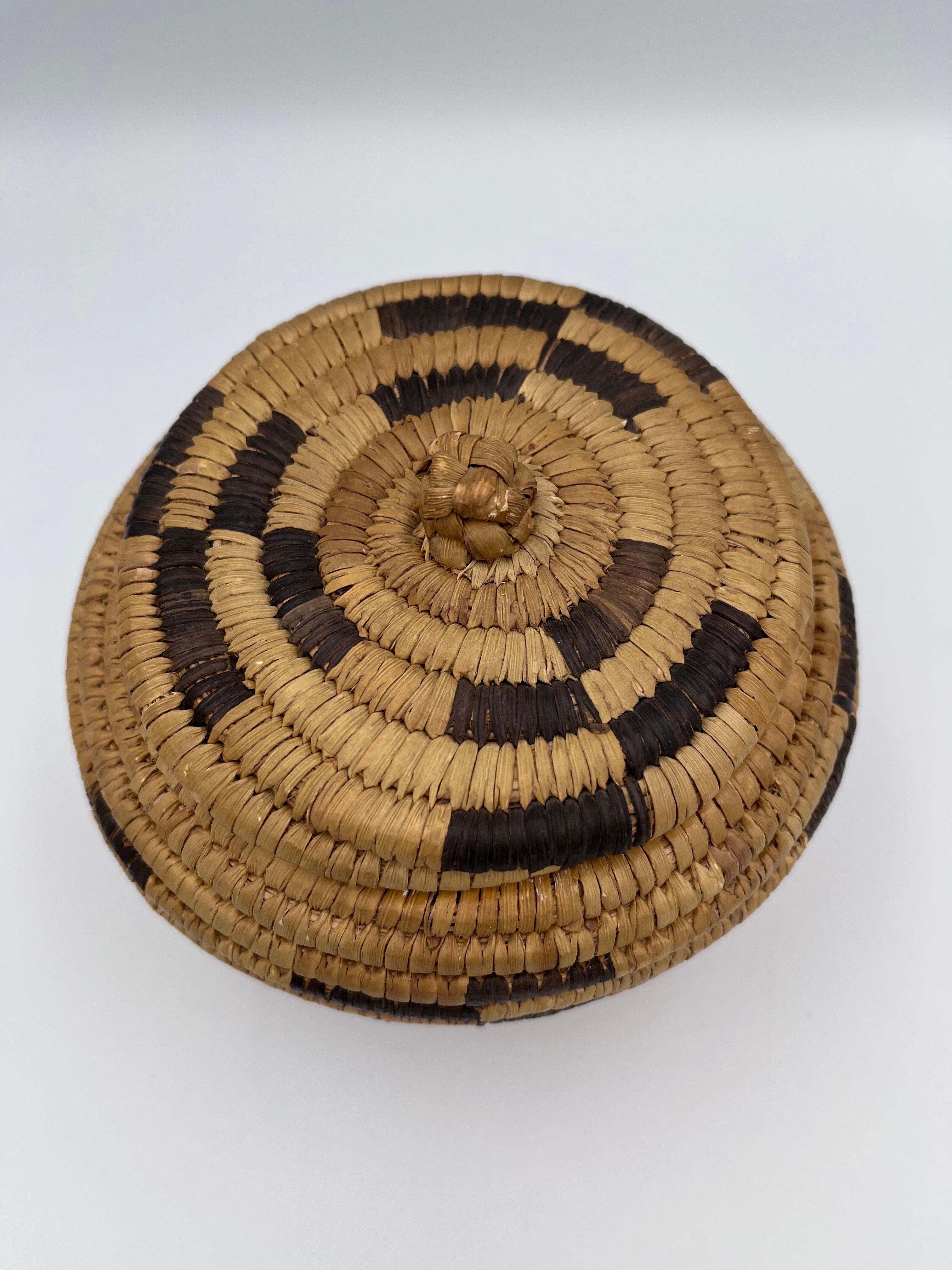 Tessuto a mano Beautiful Native American Geometric Papago Hand Woven Lidded Basket in vendita