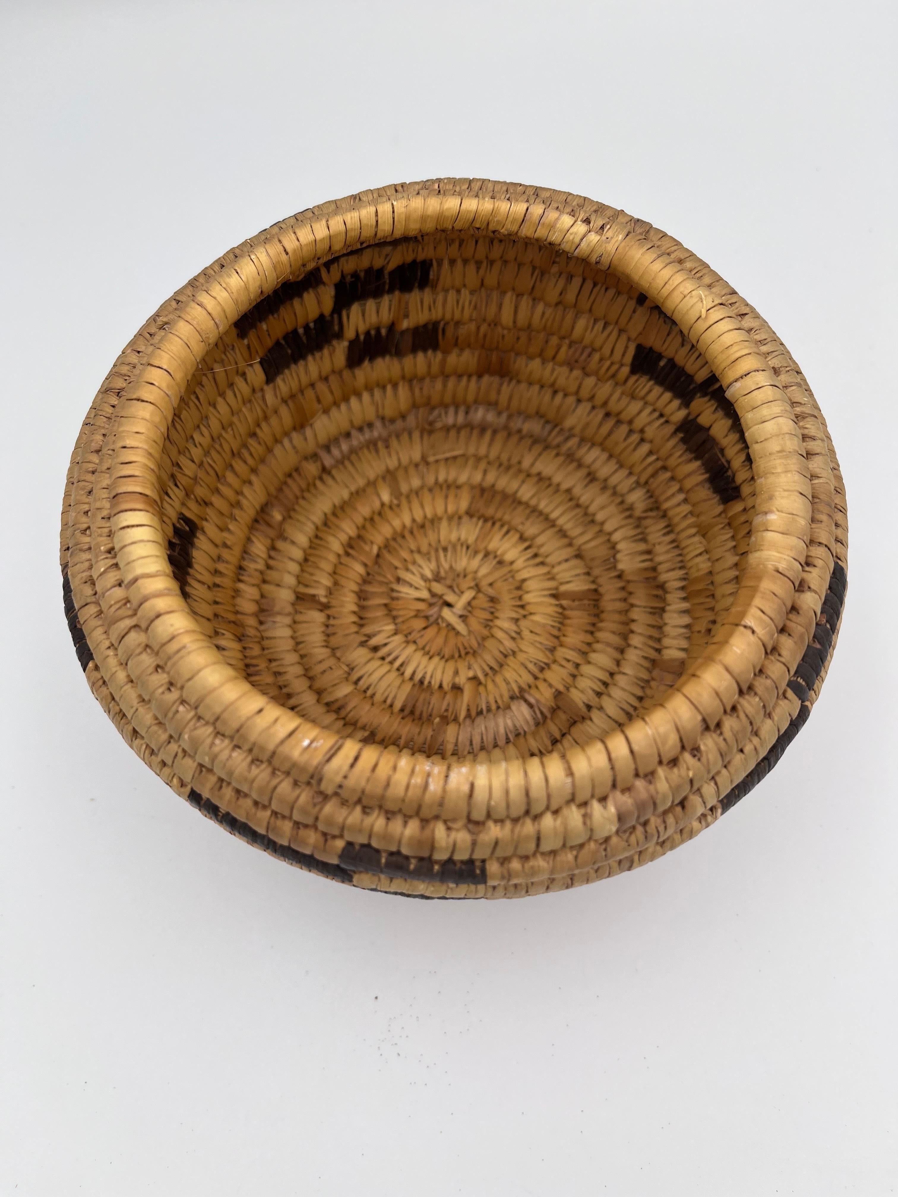 Iuta Beautiful Native American Geometric Papago Hand Woven Lidded Basket in vendita