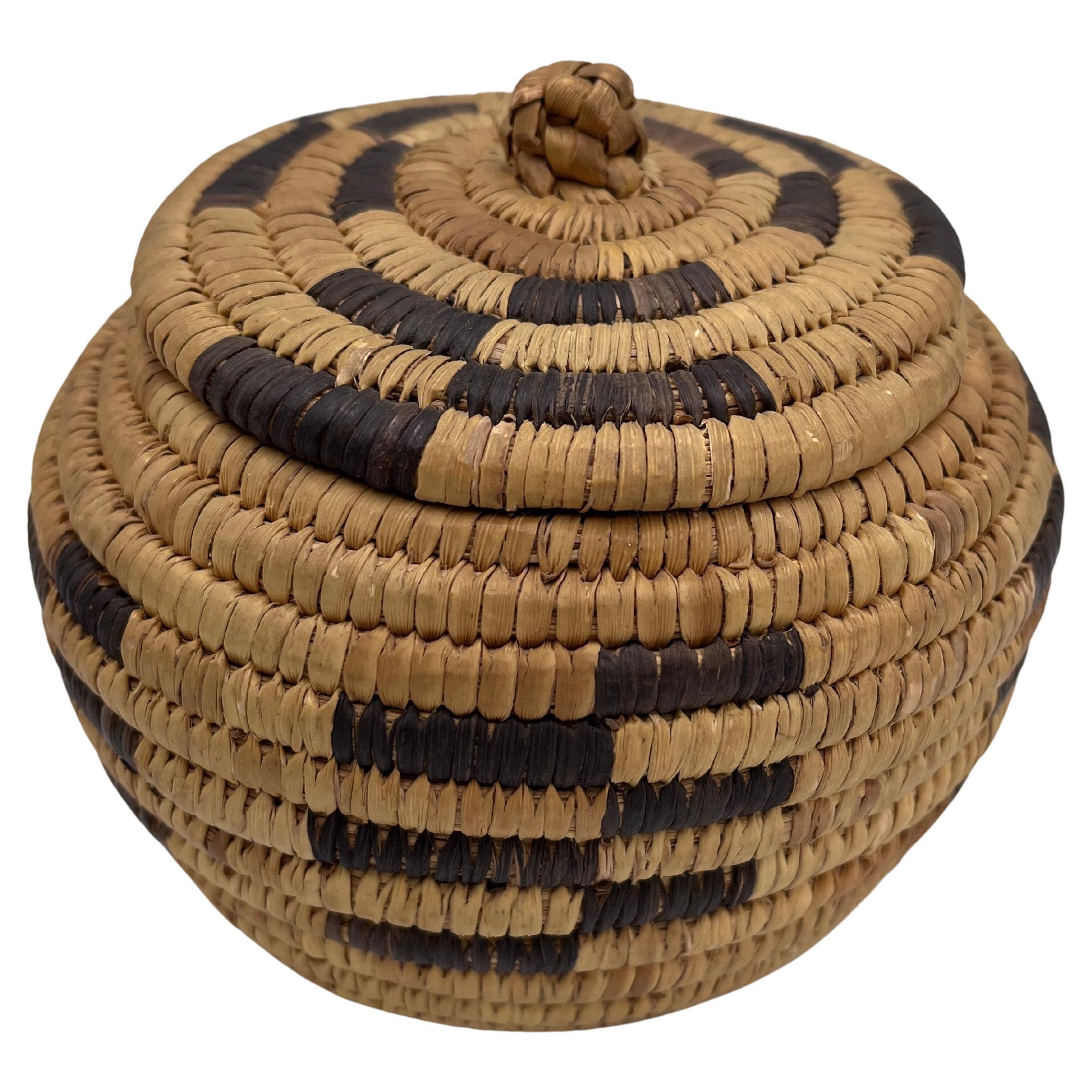 Beautiful Native American Geometric Papago Hand Woven Lidded Basket