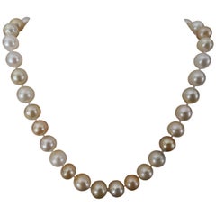 Beautiful Natural Colors South Sea Pearls Necklace Round Shape and High Luster