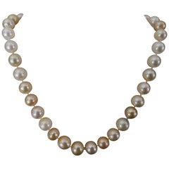 Beautiful Natural Colors South Sea Pearls Necklace Round Shape and High Luster