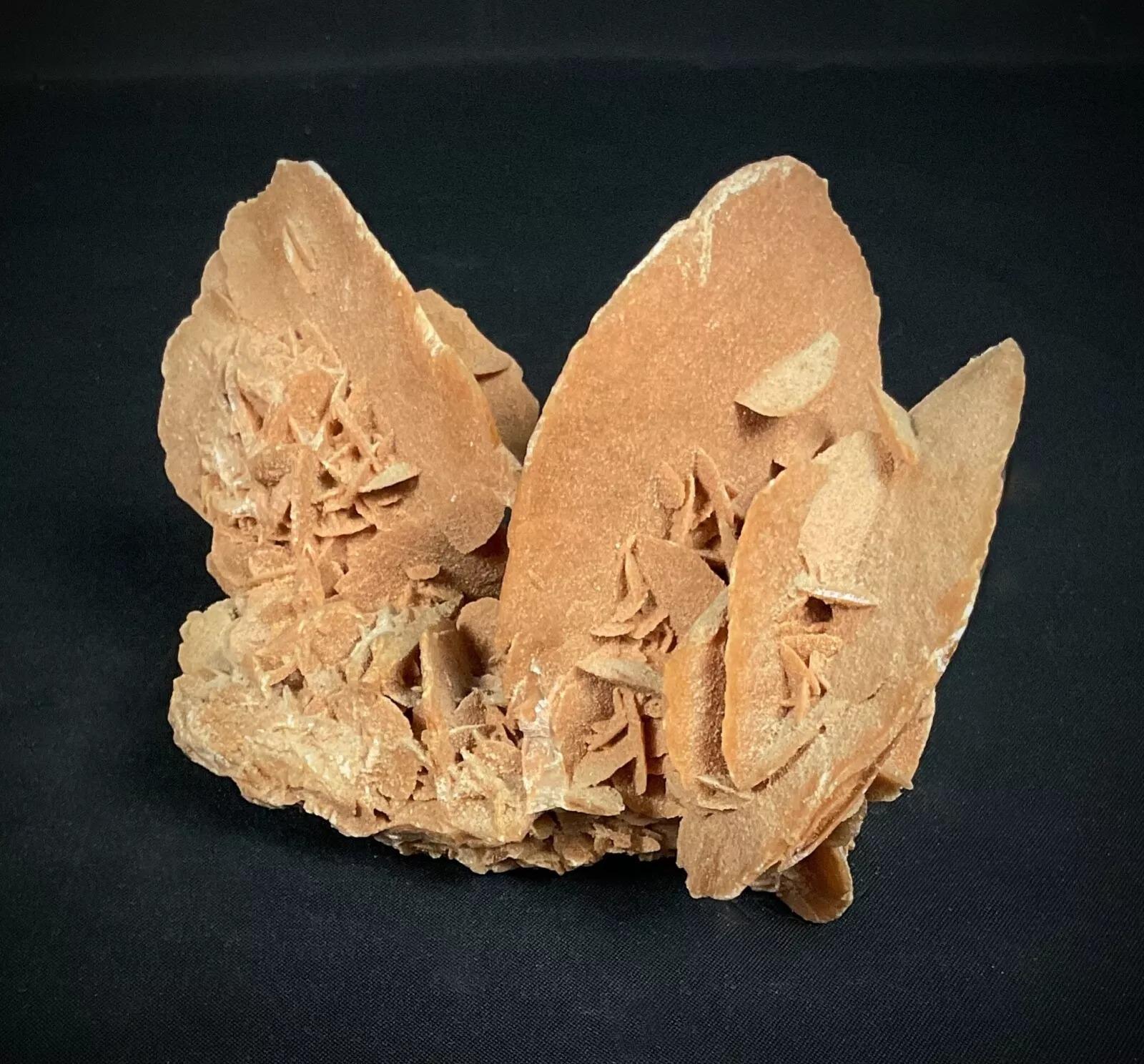 Holen Sie sich ein Stück Wüste in Ihre Sammlung mit dieser atemberaubenden natürlichen Wüstenrose, die 739 Gramm wiegt. Mit ihrem zarten Braunton und den verschlungenen blütenblattartigen Formationen verkörpert diese einzigartige geologische
