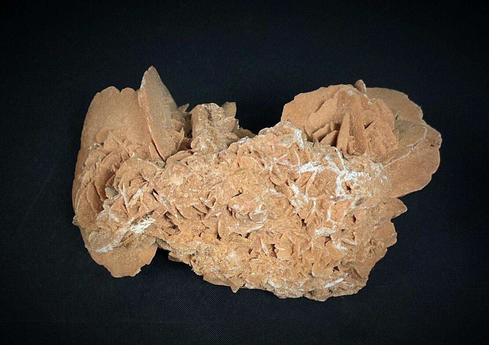 Schöne natürliche Wüstenrose - 739 Gramm, Maghrebinischer Ursprung - 2Y555 im Angebot 1