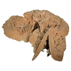 Beautiful Natural Desert Rose - 739 Grams, Maghreb Origin - 2Y555