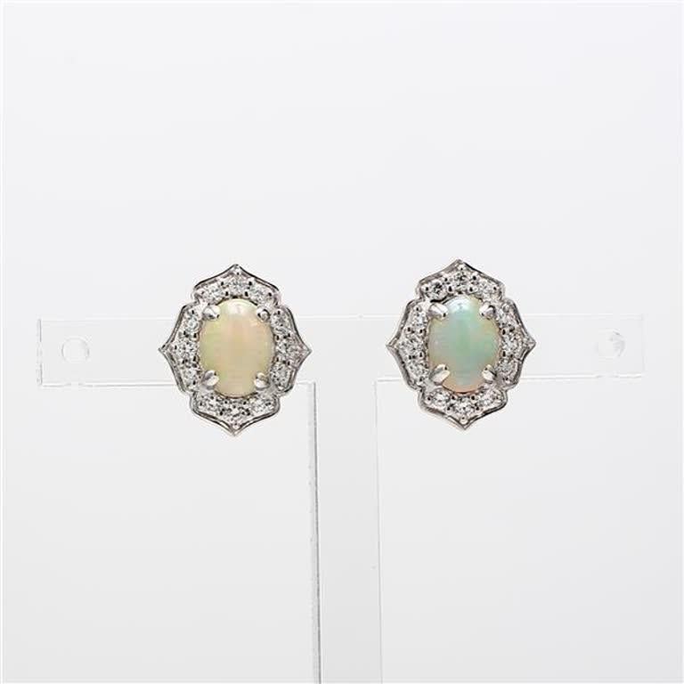 RareGemWorld's classic opal earrings. Mounted in a beautiful 14K White Gold setting with natural oval cut opal's. The opal's are surrounded by natural round white diamond melee. These earrings are guaranteed to impress and enhance your personal