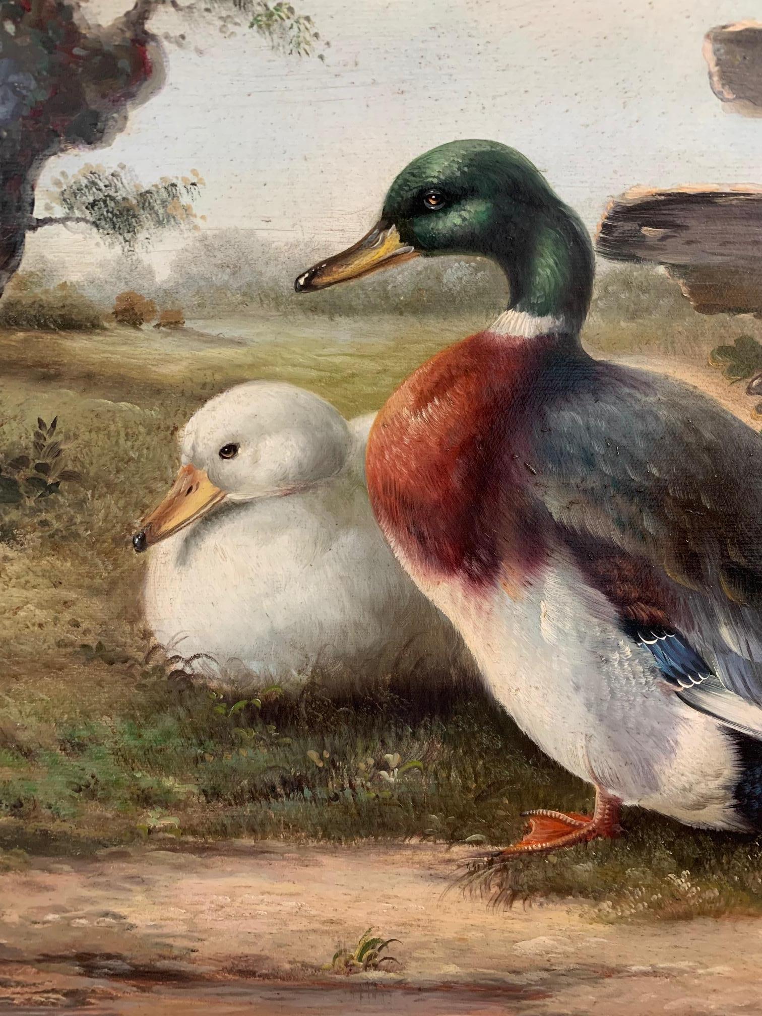 A gorgeous beautifully rendered old world style original oil on canvas of ducks by a river bank with moody sky.
Handsome giltwood frame.
Signed L. Roman

Measures: Framed 34” W x 30” H x 3” D
Canvas 24” W x 20” H x 3” D.