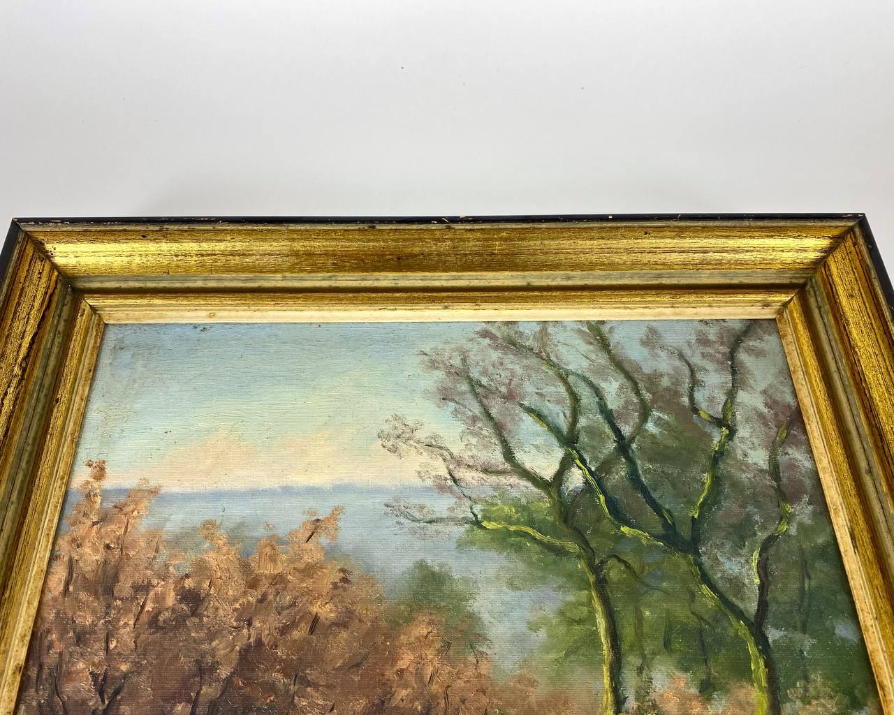 Vintage oil painting on canvas.

Original authentic landscape depicting three elements - water, sky and earth. The work is framed in a Classic wooden frame. The color scheme is dominated by green, earthy tones. 

The painting depicts a pond