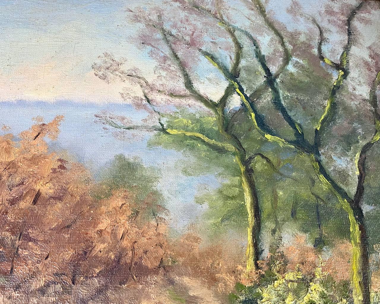 Bellissimo dipinto a olio su tela Paesaggio d'epoca 1