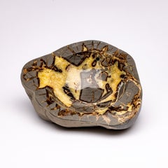 Beautiful One of a Kind in Organic Shape Septarian Bowl from Utah
