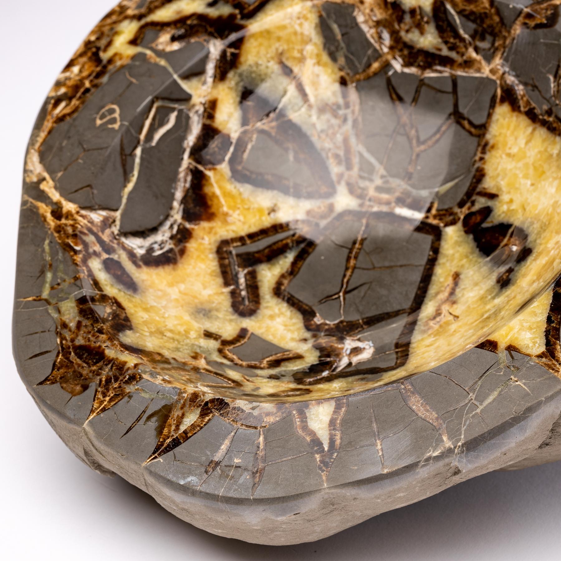 Beautiful One of a Kind in Organic Shape Septarian Bowl from Utah In New Condition For Sale In Polanco, CDMX